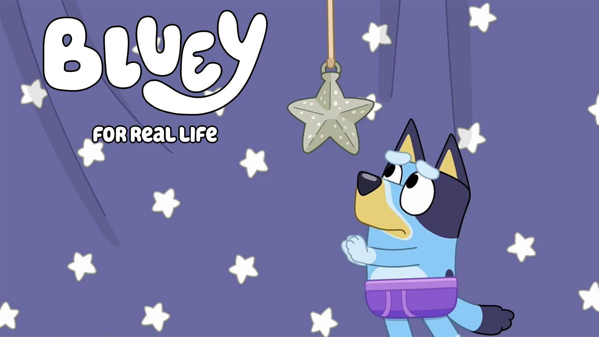 Bluey, blue-heeler puppy, hanging star ornament, Full HD Desktop Wallpaper