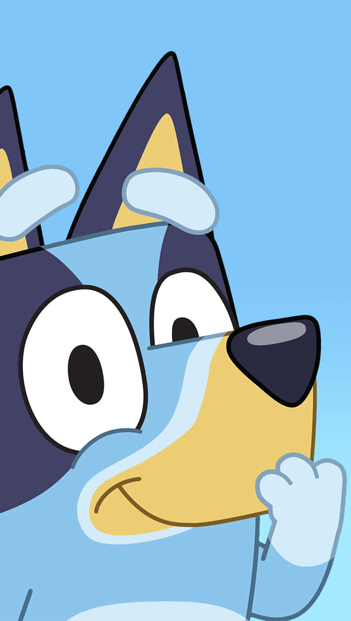 Bluey, cartoon dog, big eyes, HD Phone Wallpaper