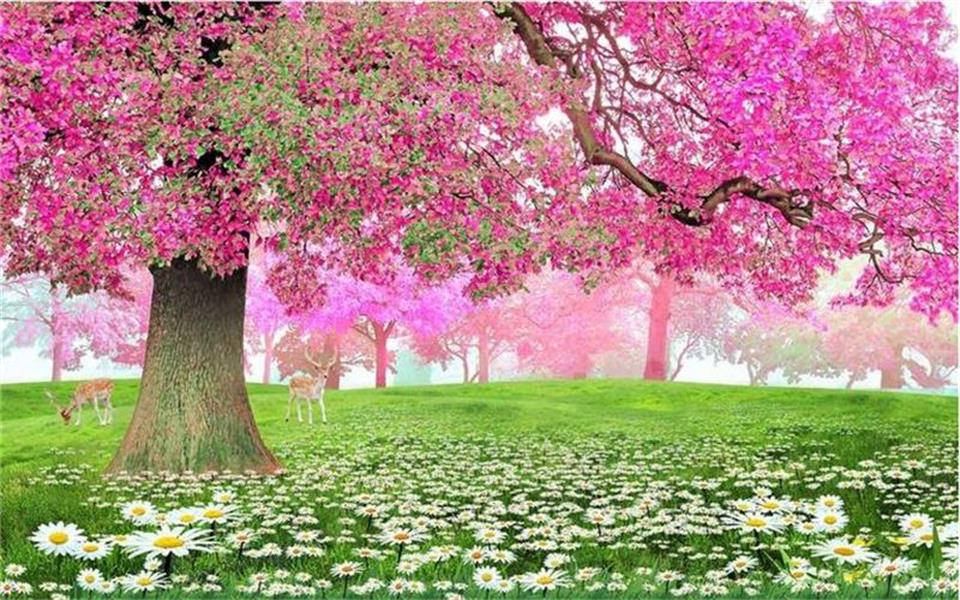 Blumen, pink blossoms, white daisies, SD Desktop Wallpaper