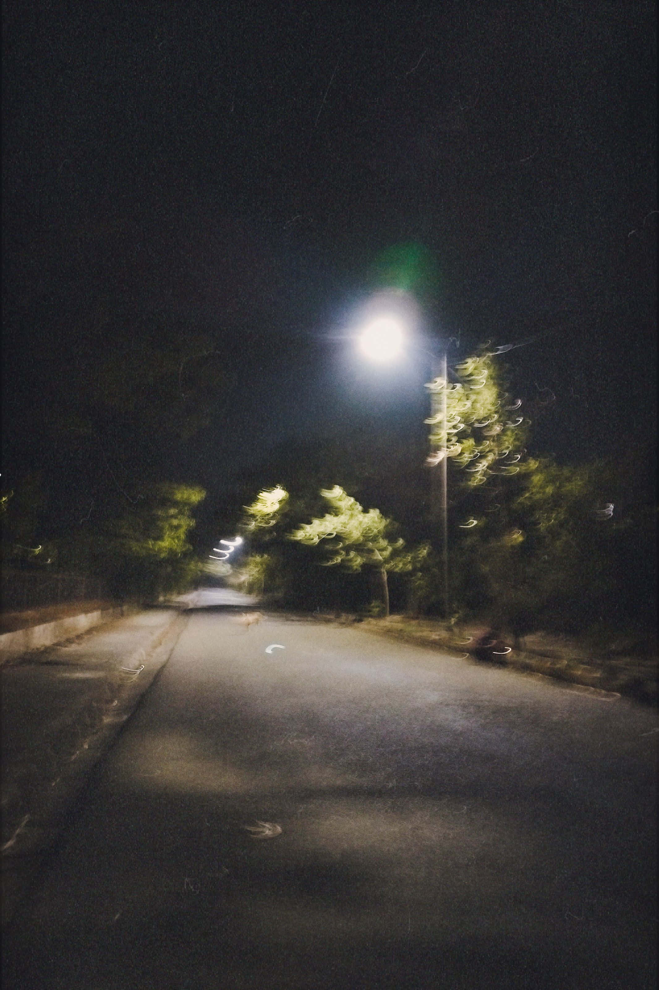nighttime street scene, single bright streetlamp, trees, 2K Phone Wallpaper
