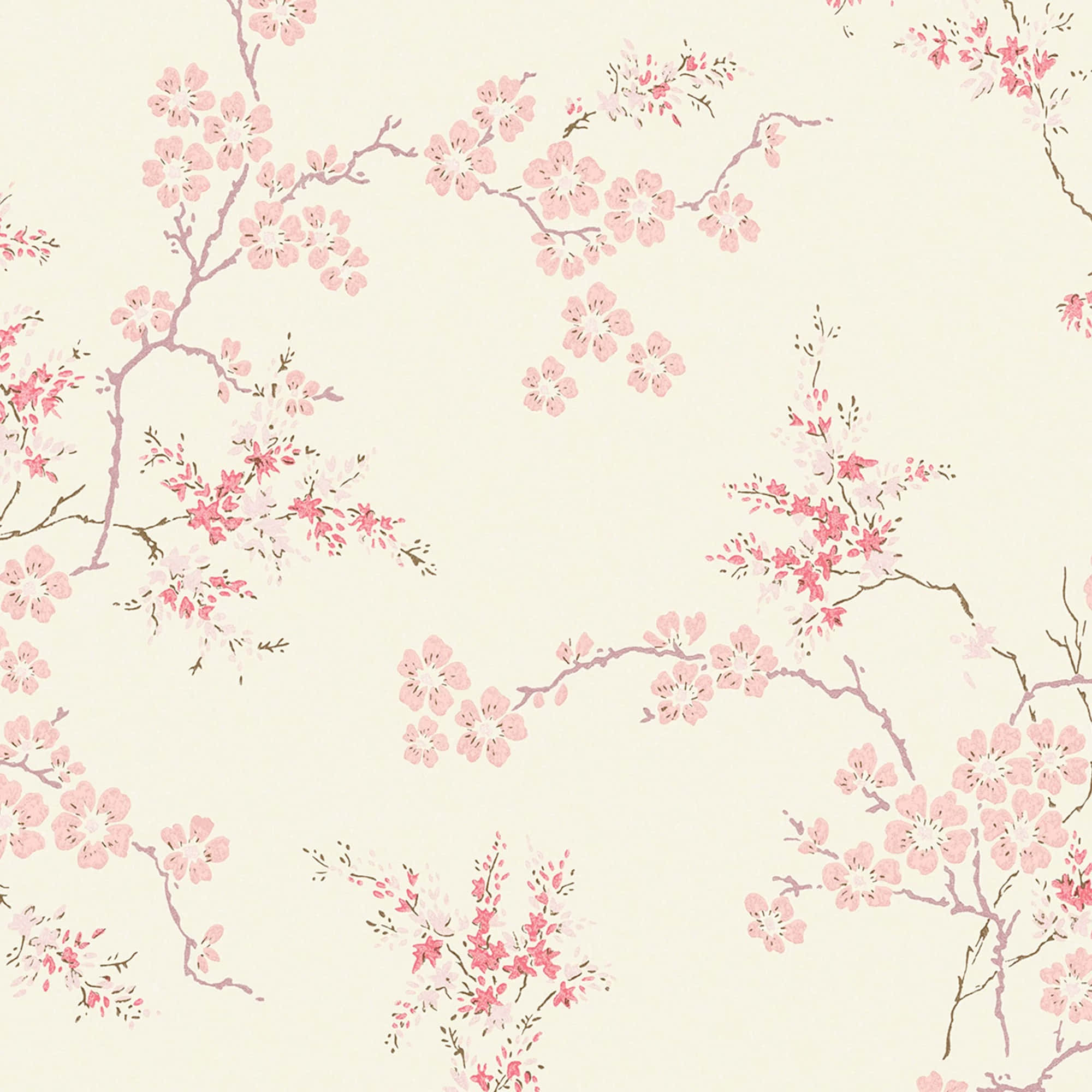 Blush, cherry blossoms, pink, Full HD Desktop Wallpaper