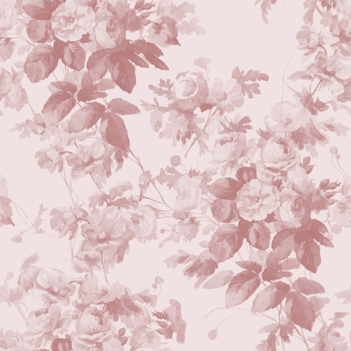 blush, floral pattern, roses, SD Desktop Wallpaper
