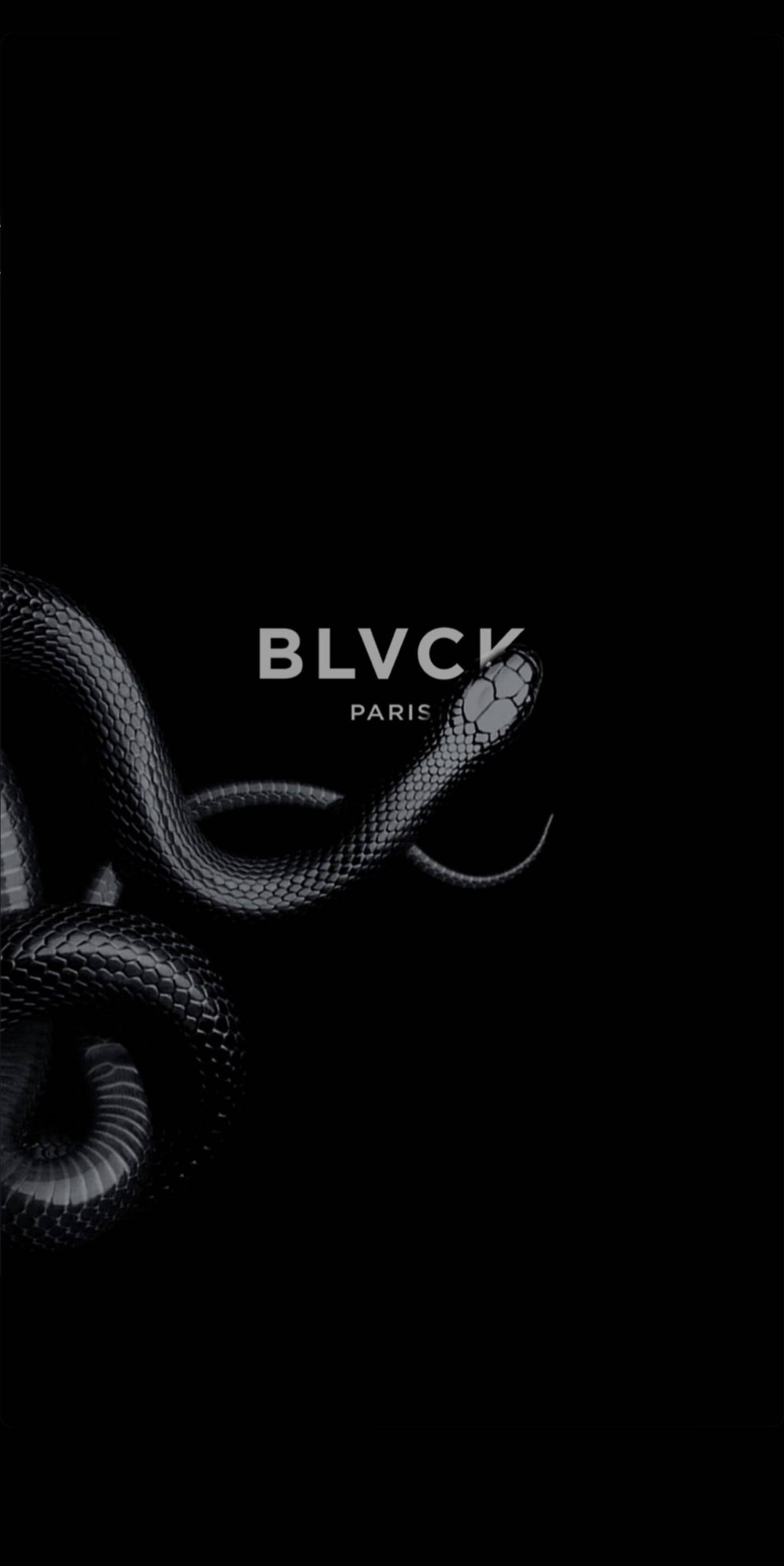 Blvck Paris, black snake, pure black background, 2K Phone Wallpaper
