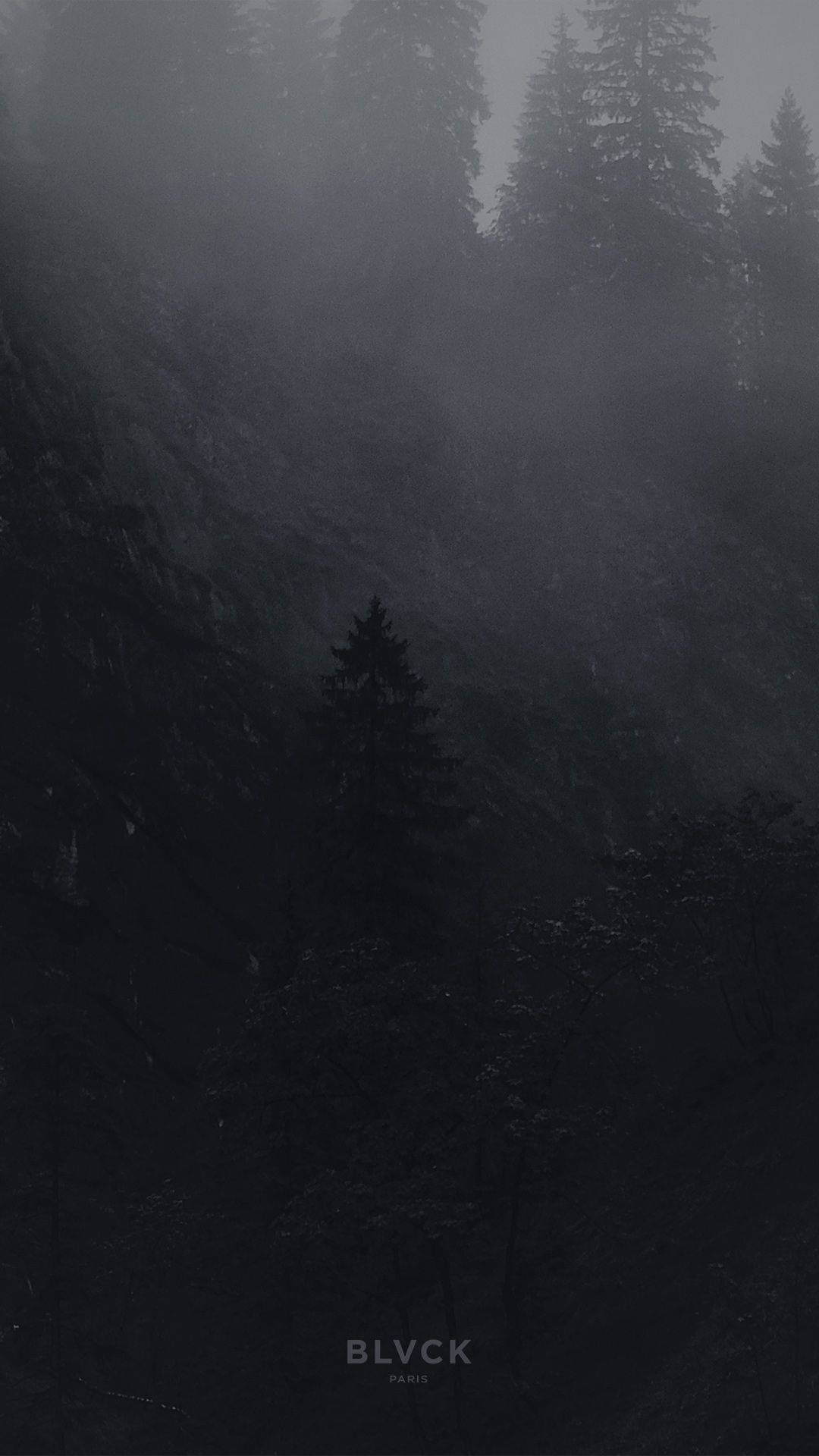 Blvck Paris, Foggy Forest, misty forest valley, Full HD Phone Wallpaper