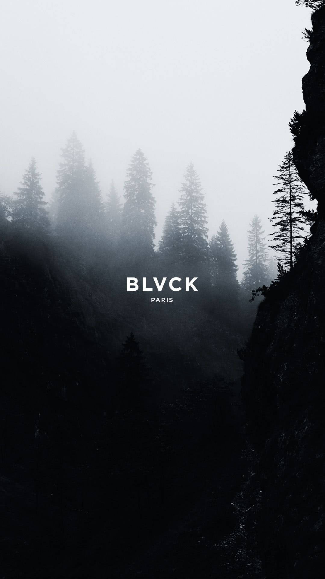 Blvck Paris, misty forest valley, tall pine trees, Full HD Phone Wallpaper