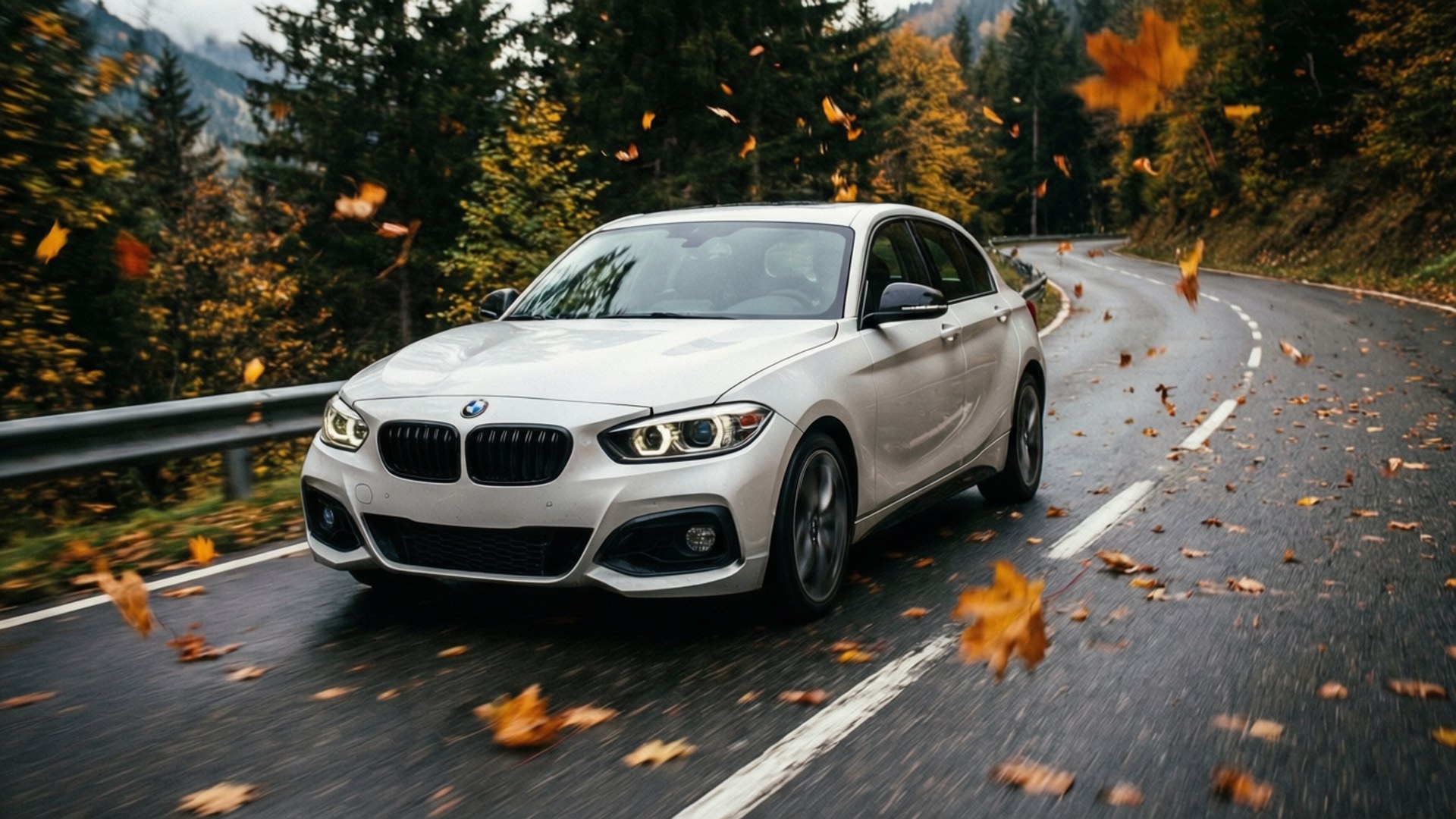 BMW 1 Series, white, autumn forest, Full HD Desktop Wallpaper