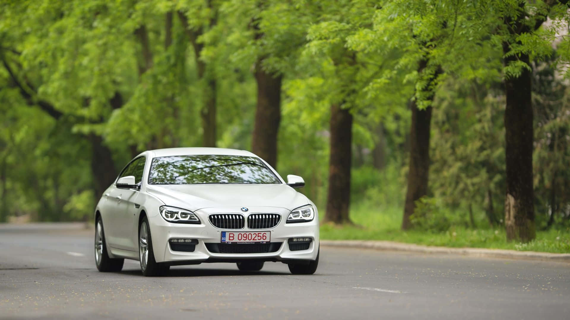 BMW 6 Series, white, sleek, Full HD Desktop Wallpaper