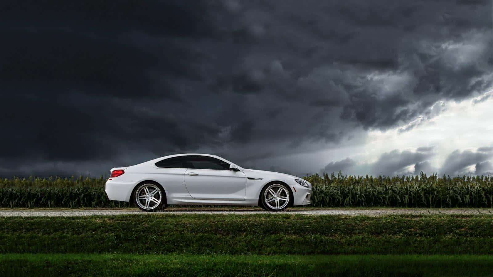 BMW 6 Series, white, rural road, HD Desktop Wallpaper