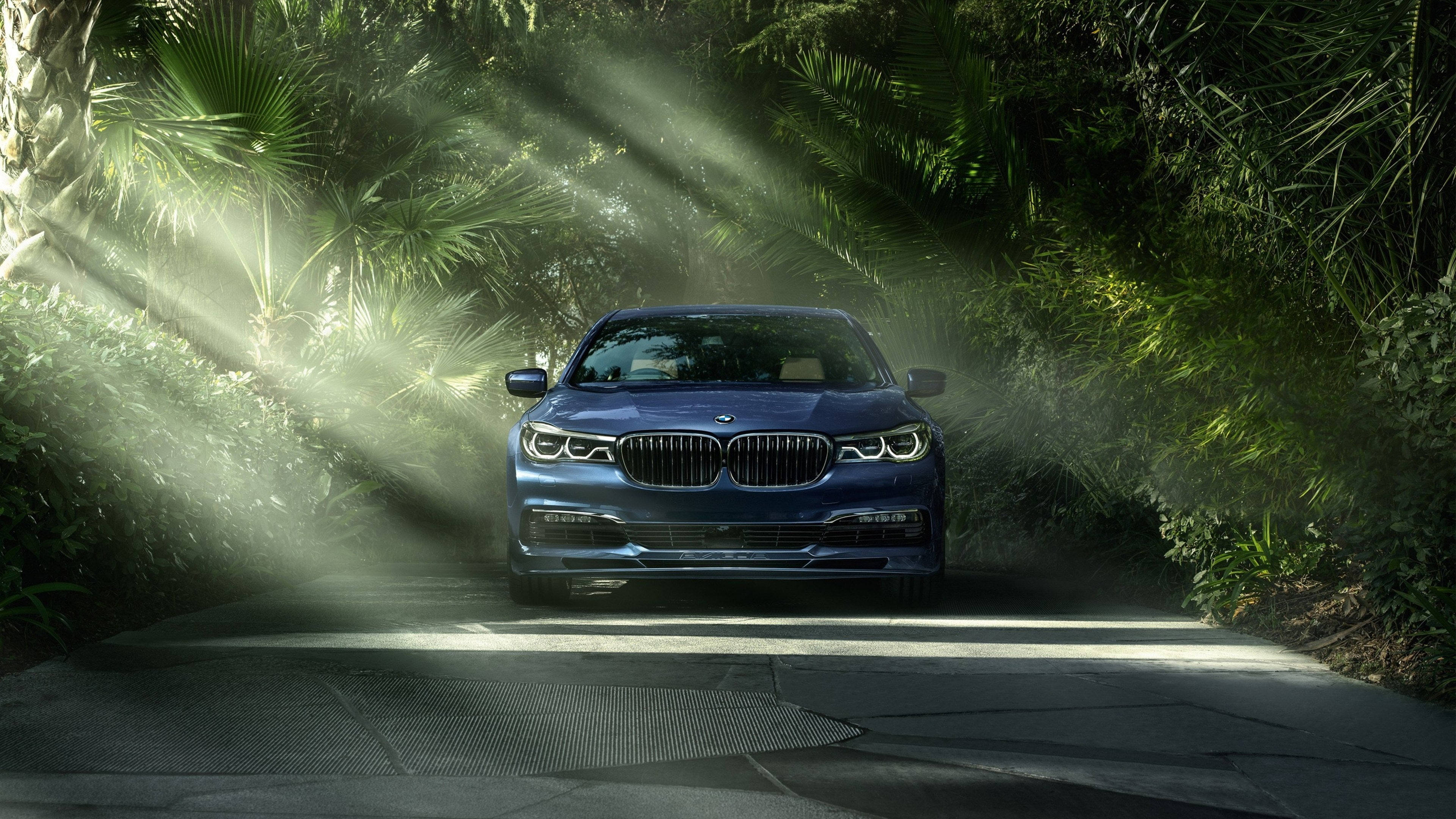 Royal Blue, BMW, sedan, 4K Desktop Wallpaper