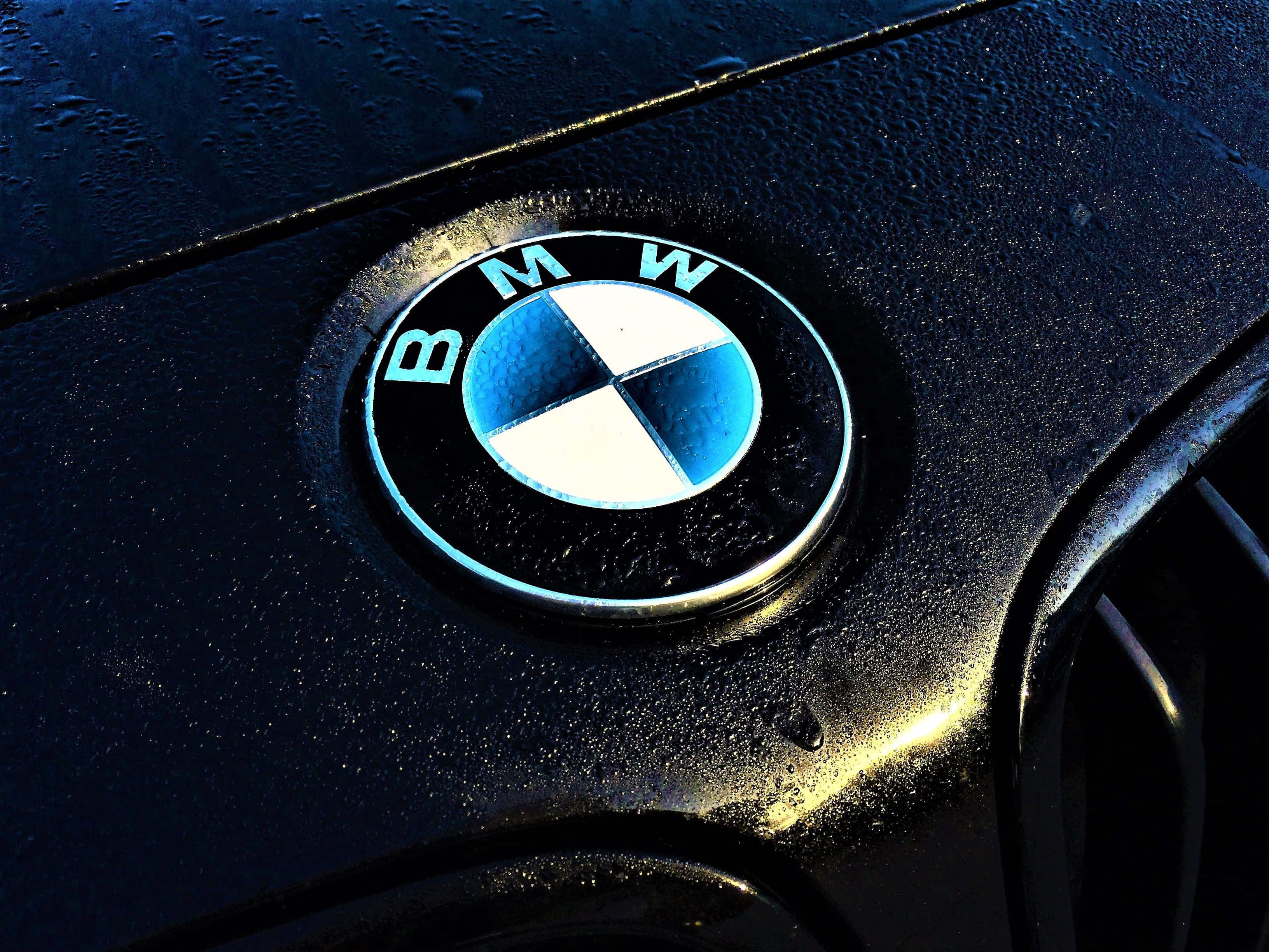 BMW logo, wet black car hood, bright sunlight, 2K Desktop Wallpaper