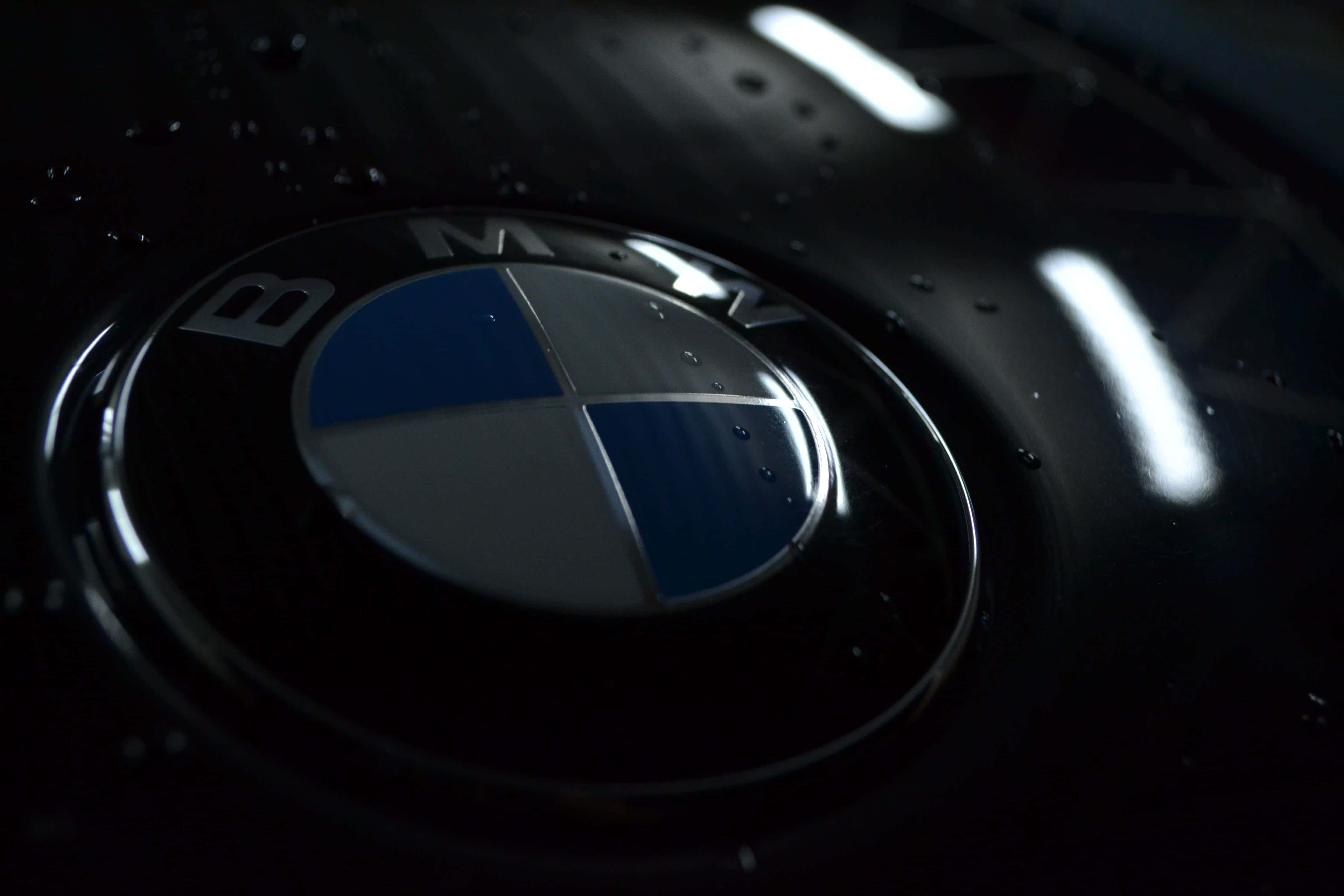 BMW Logo, car hood, wet, 4K Desktop Wallpaper