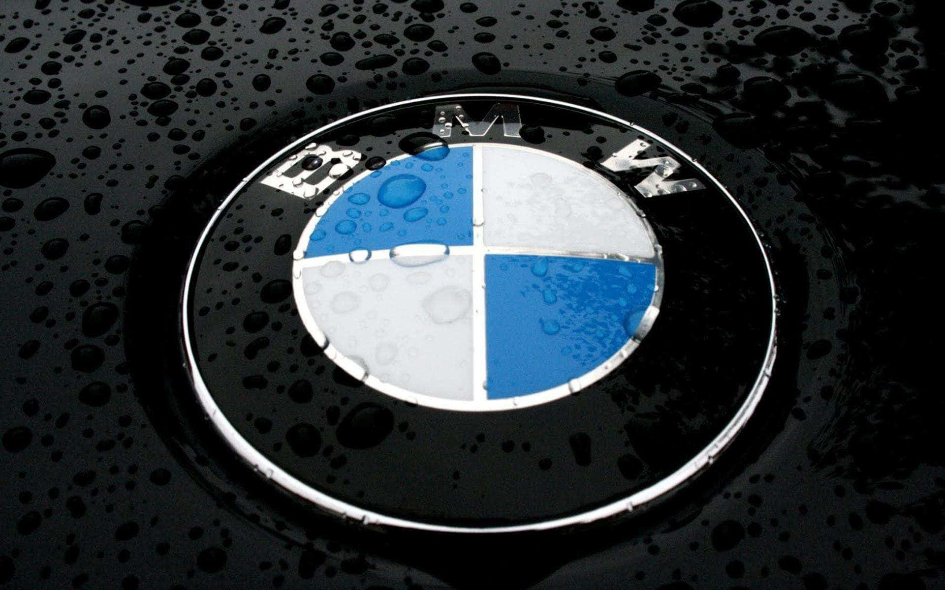 BMW Logo, wet black car hood, raindrops glistening, Full HD Desktop Wallpaper