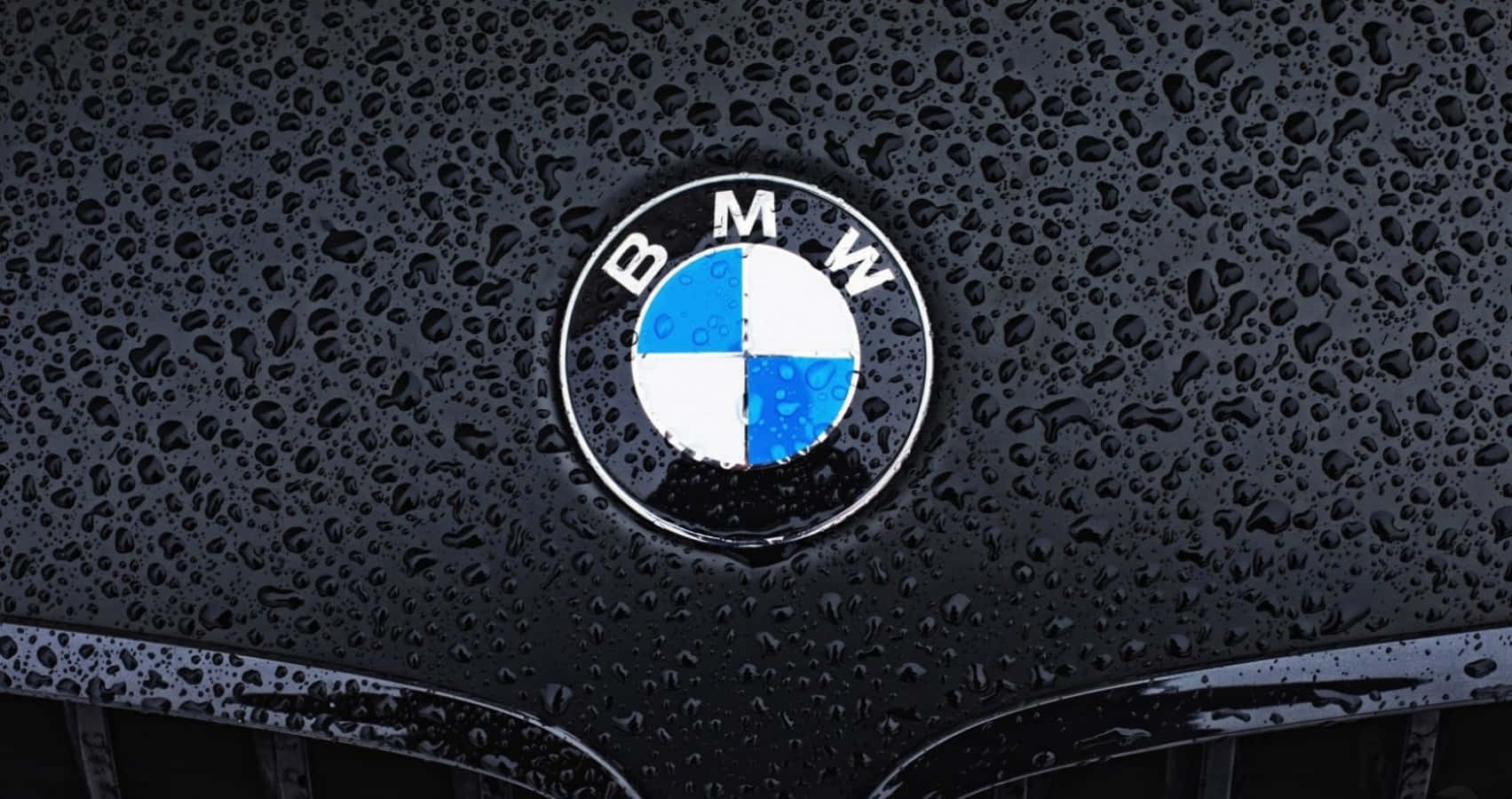 BMW, BMW logo, black car hood, HD Desktop Wallpaper