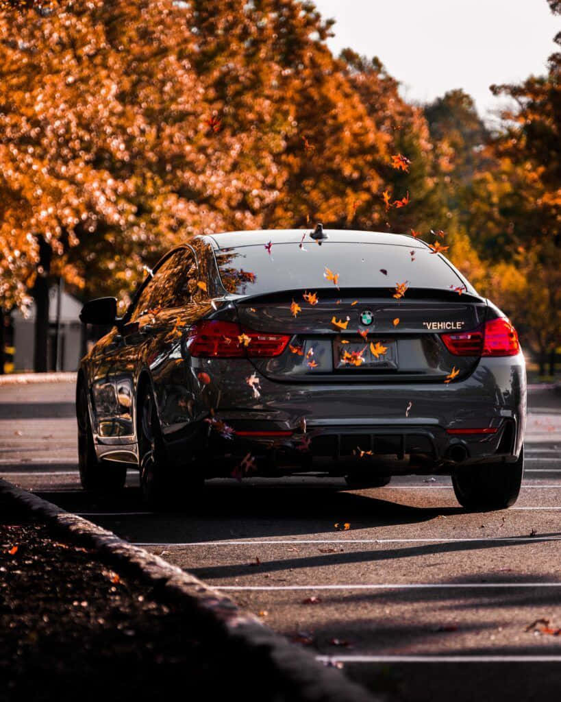 BMW M, black, autumn road, SD Phone Wallpaper