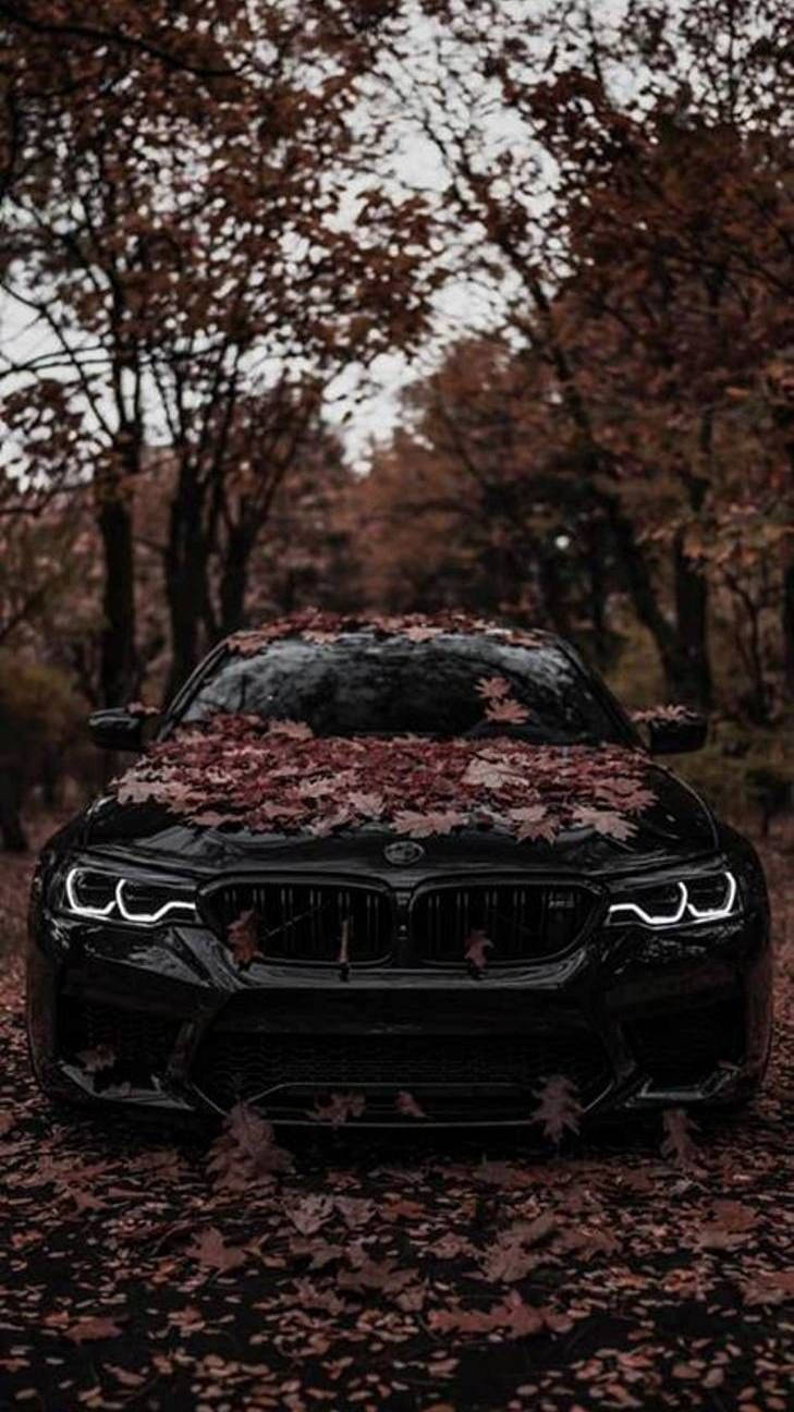 black BMW M, forest, red autumn leaves, HD Phone Wallpaper