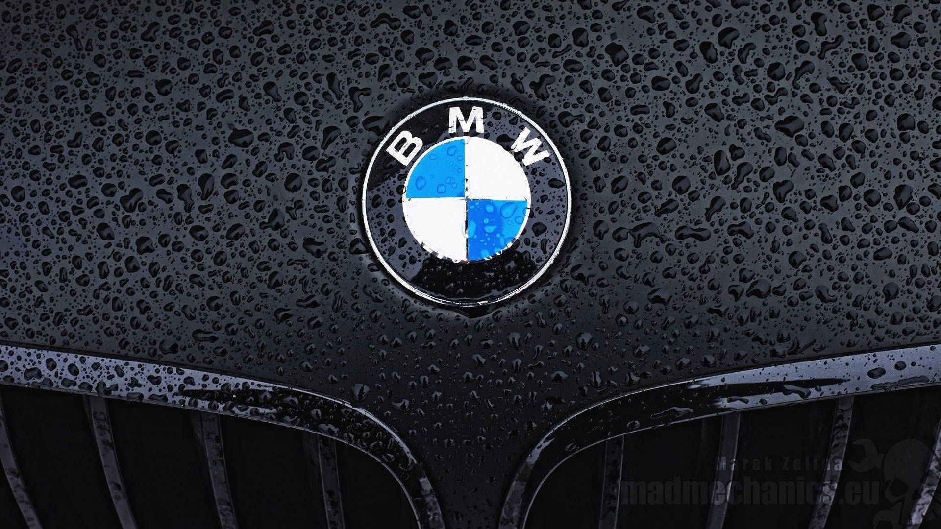 BMW M, wet black car hood, BMW logo, Full HD Desktop Wallpaper
