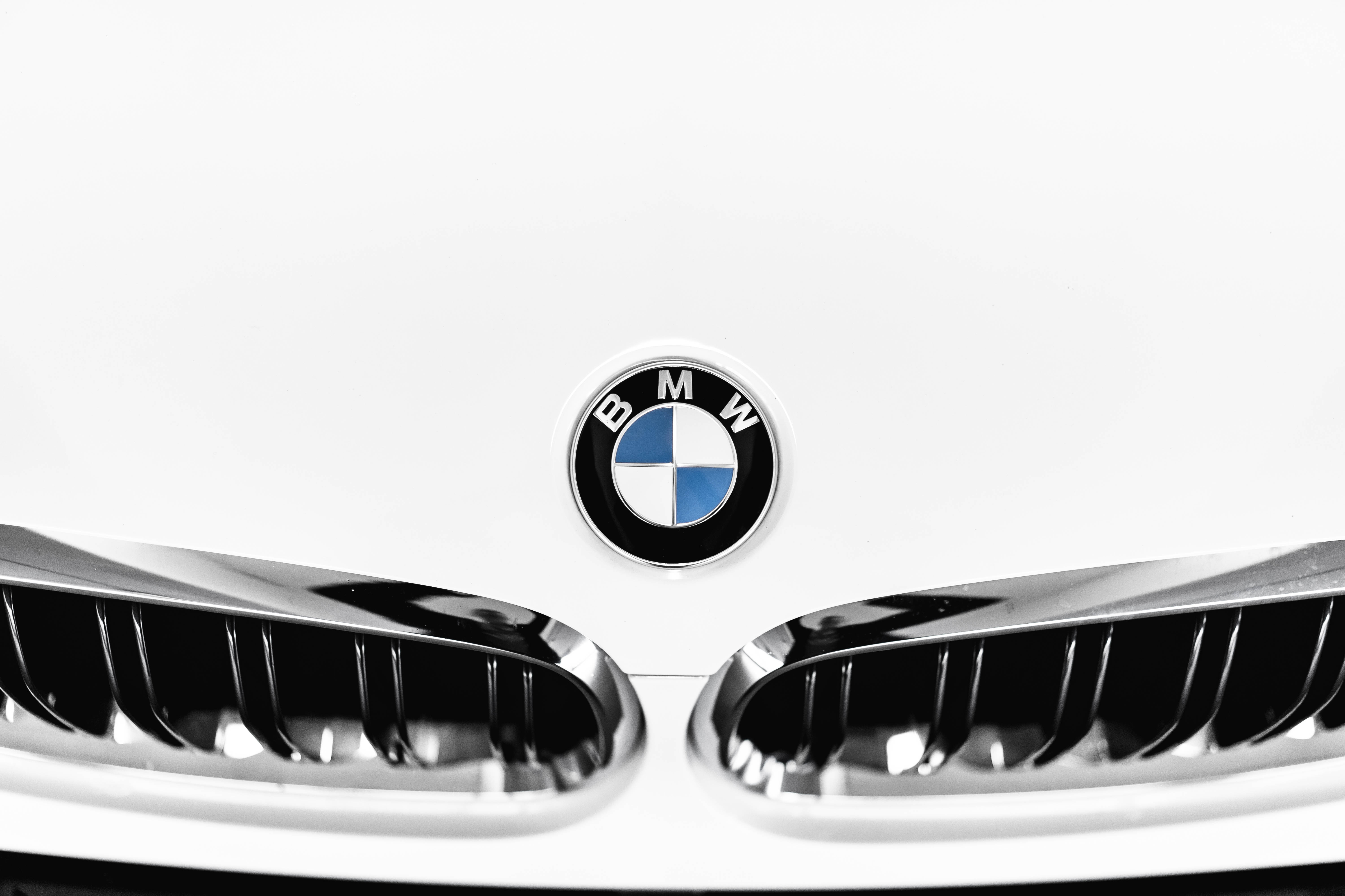 white BMW M, front grille, iconic round logo, 5K Desktop Wallpaper
