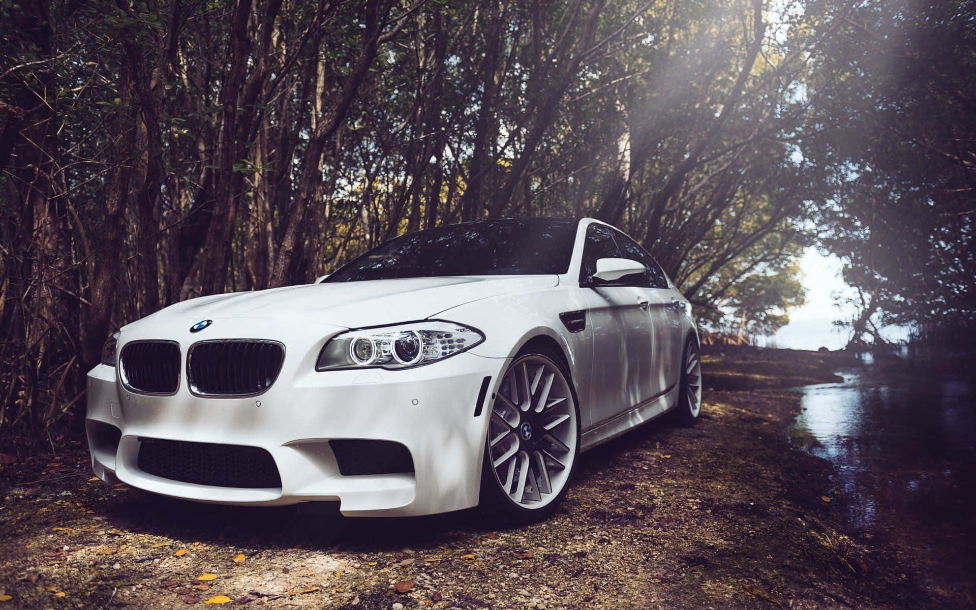BMW M5, white, sedan, Full HD Desktop Wallpaper