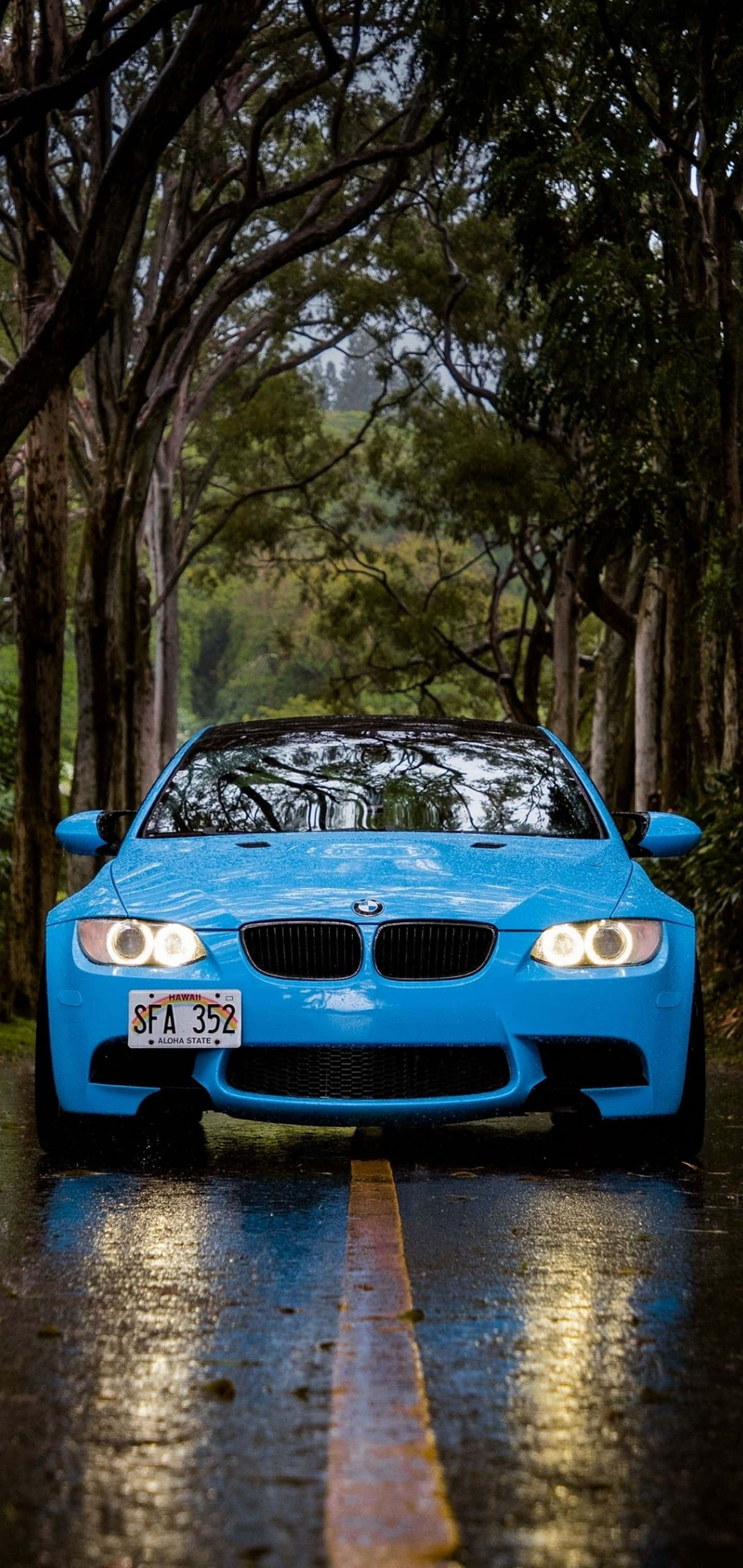 BMW M6, vibrant blue, rain-slicked forest road, 2K Phone Wallpaper