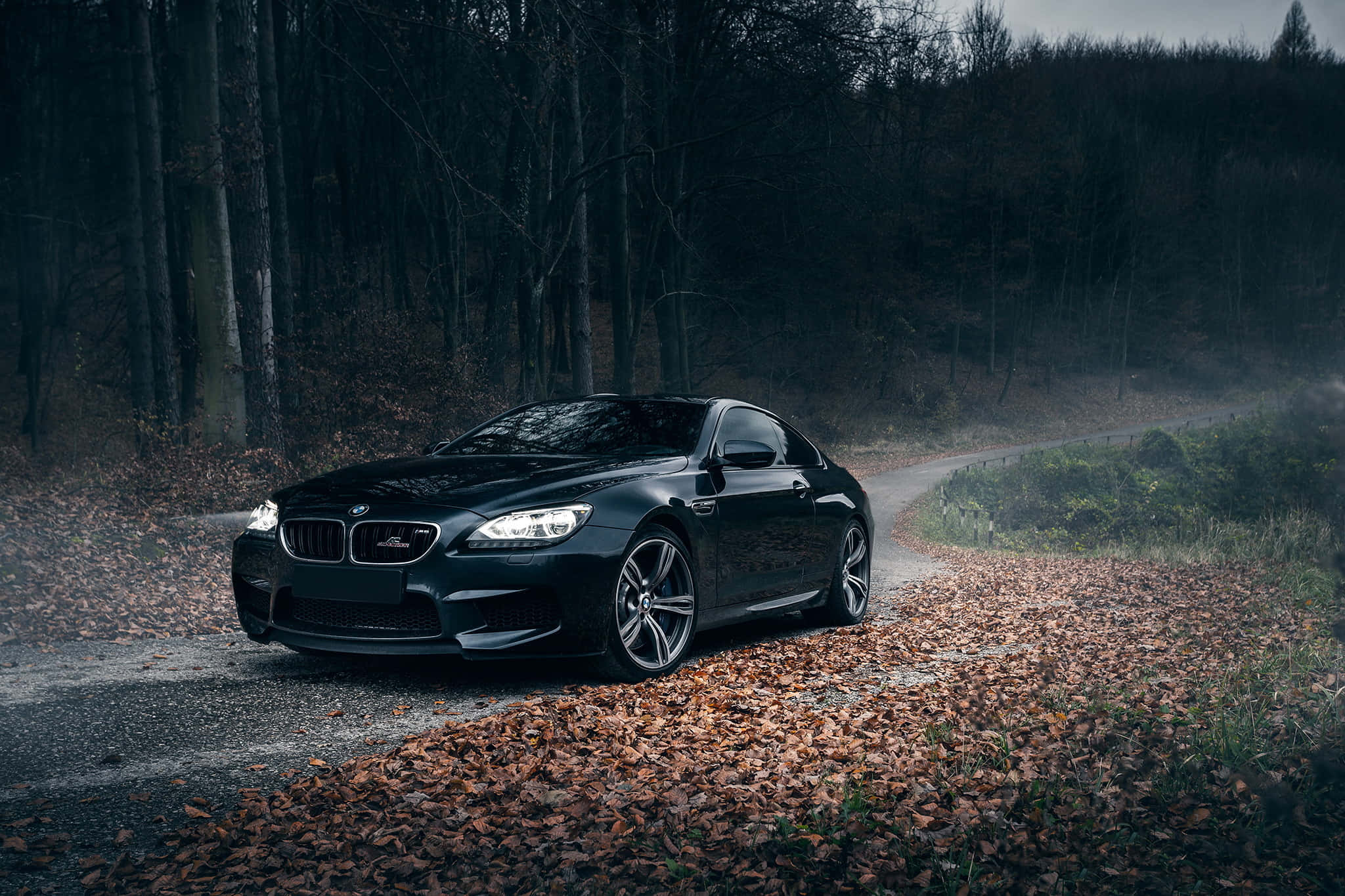 BMW M6, black, forest road, Full HD Desktop Wallpaper