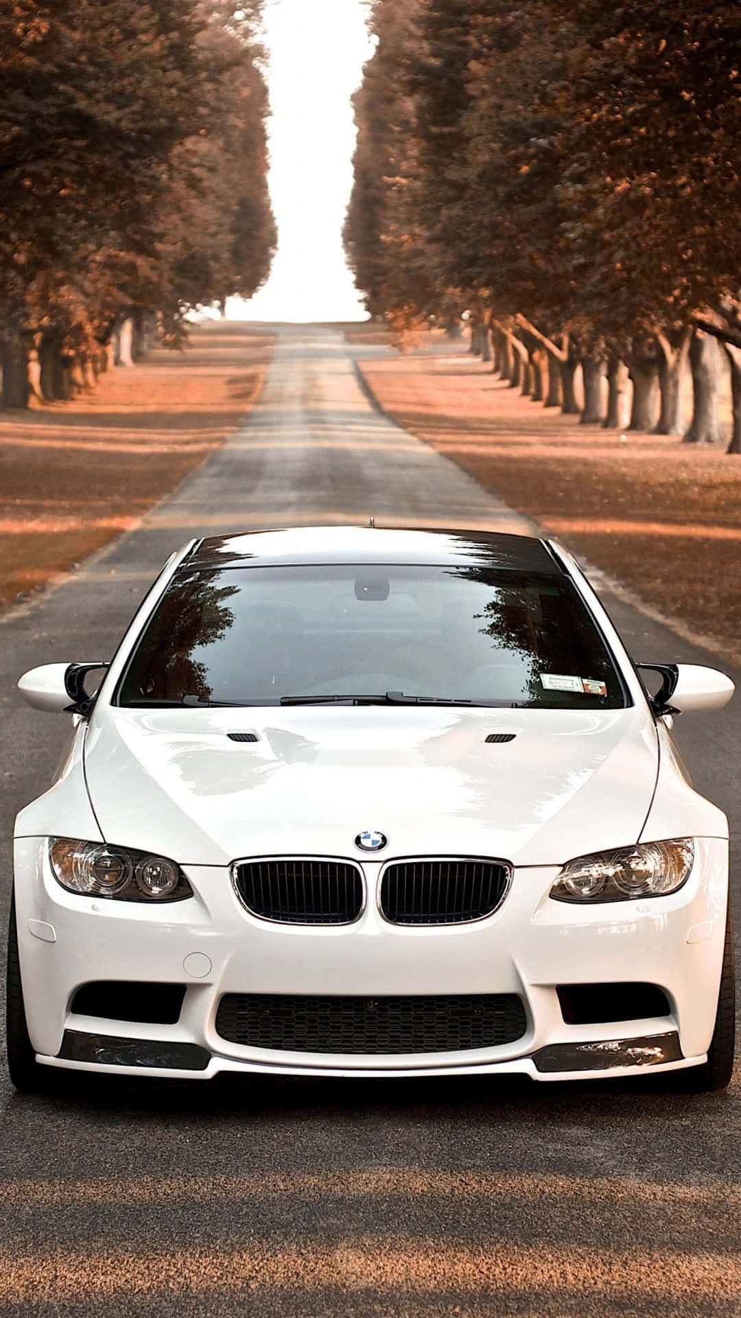 BMW M8, white, tree-lined road, Full HD Phone Wallpaper