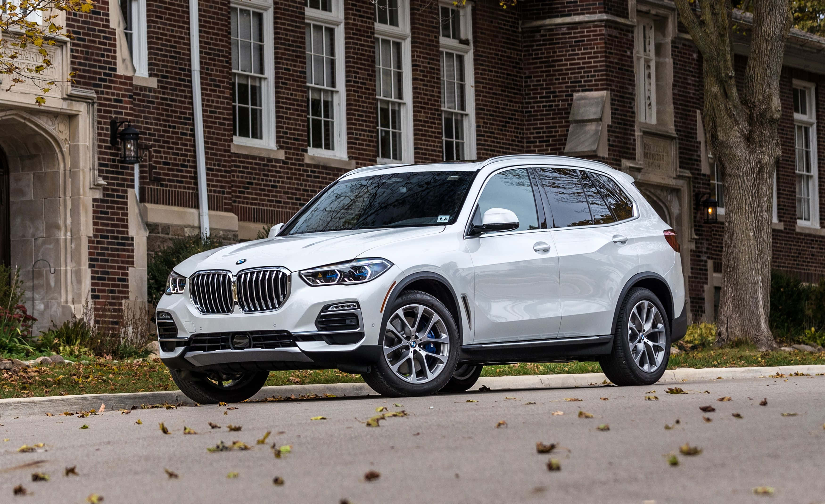 BMW X5, white, urban setting, 2K Desktop Wallpaper