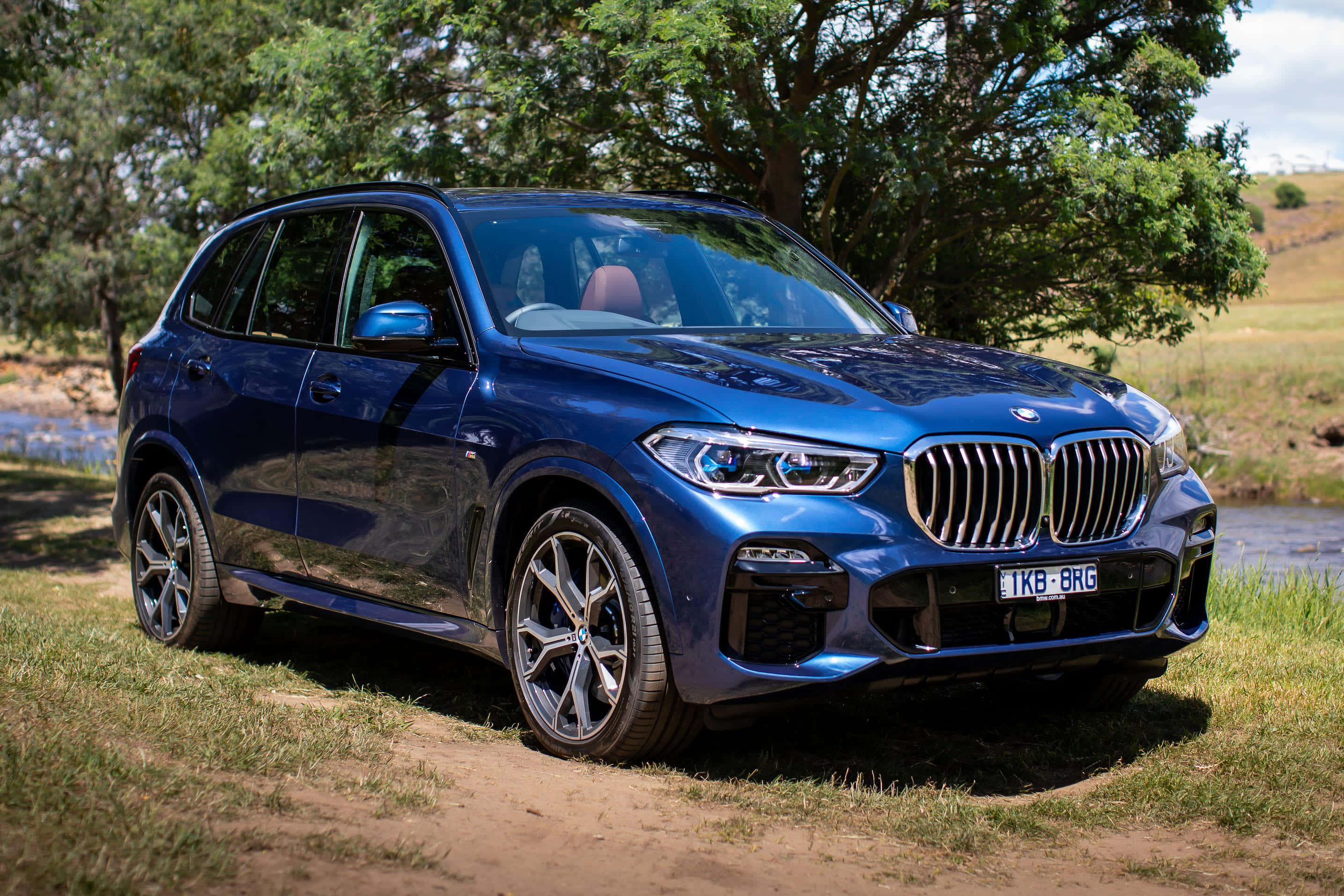 BMW X5, glossy blue, grass, 2K Desktop Wallpaper