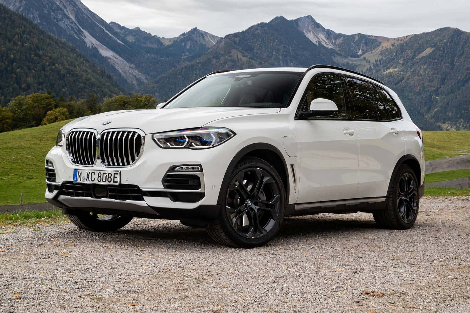 BMW X5, white, black accents, HD Desktop Wallpaper