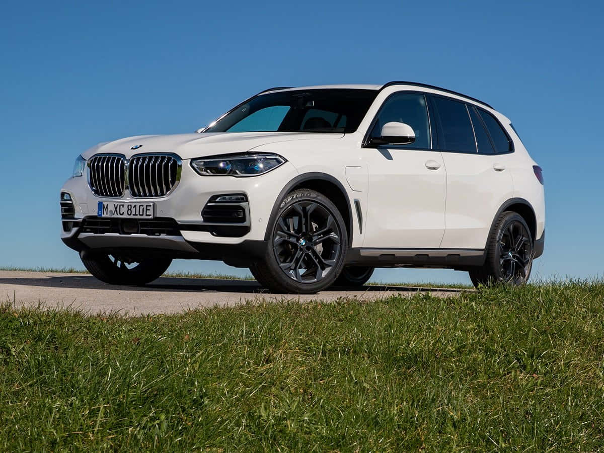 BMW X5, white, black accents, SD Desktop Wallpaper