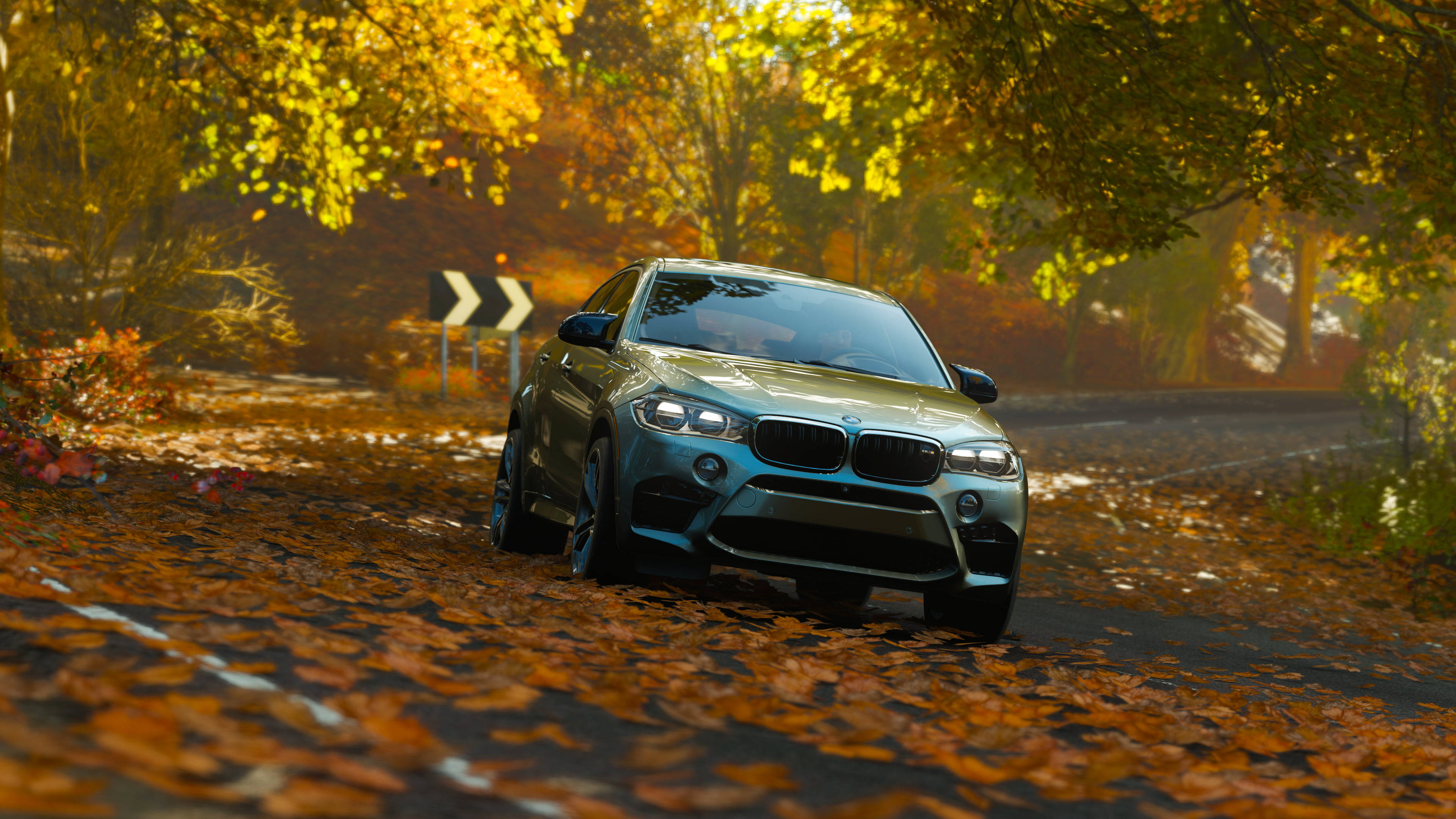BMW X6 M, silver, forest road, 4K Desktop Wallpaper