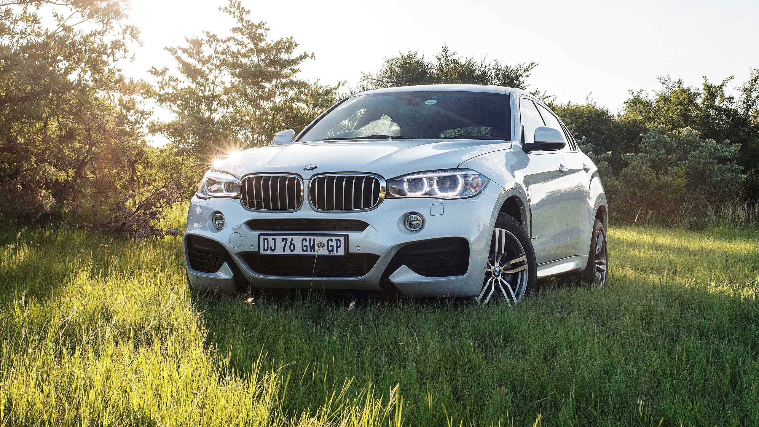 BMW X6 M, white, green field, 2K Desktop Wallpaper