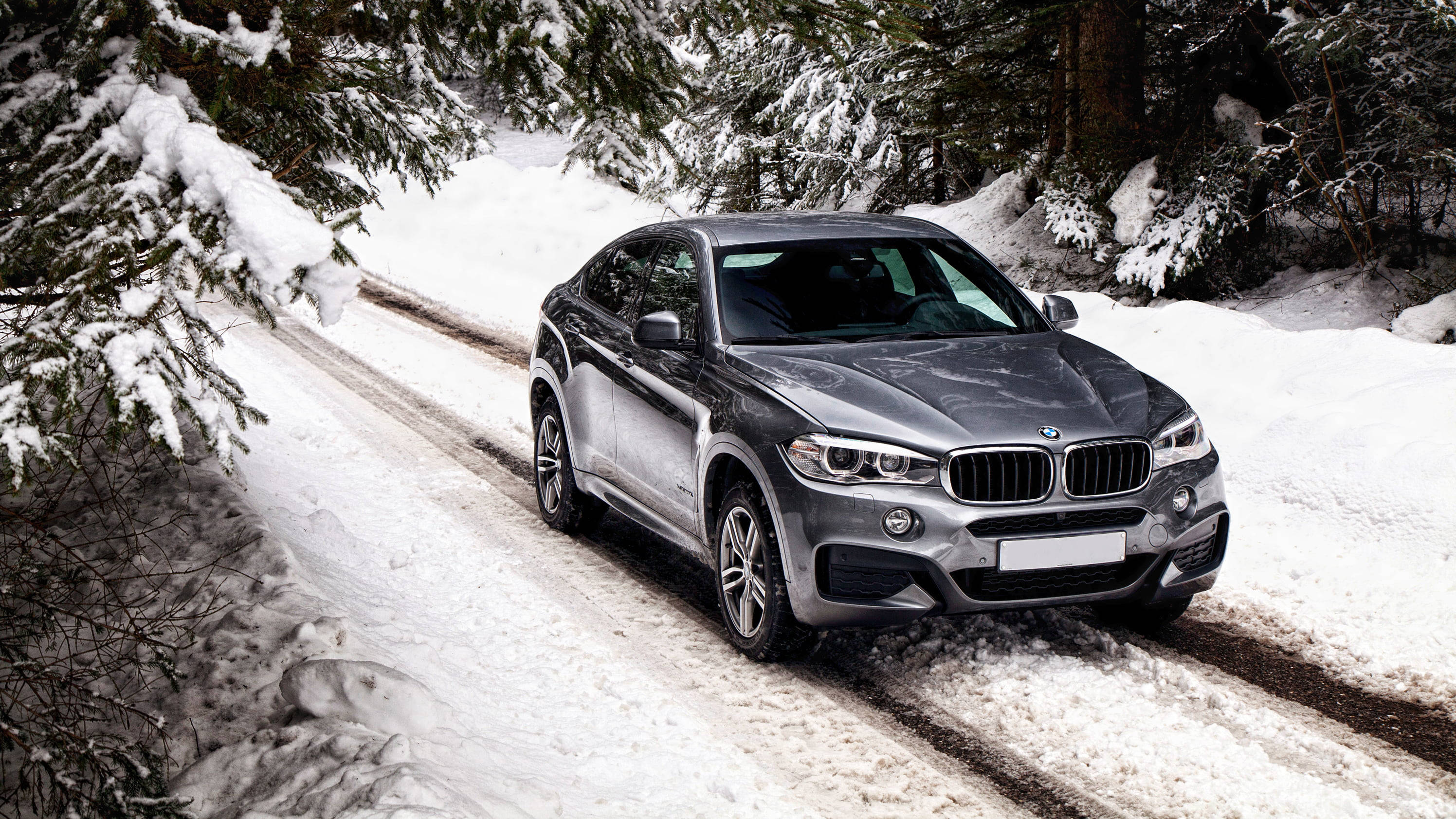 BMW X6 M, silver, snowy forest road, 2K Desktop Wallpaper