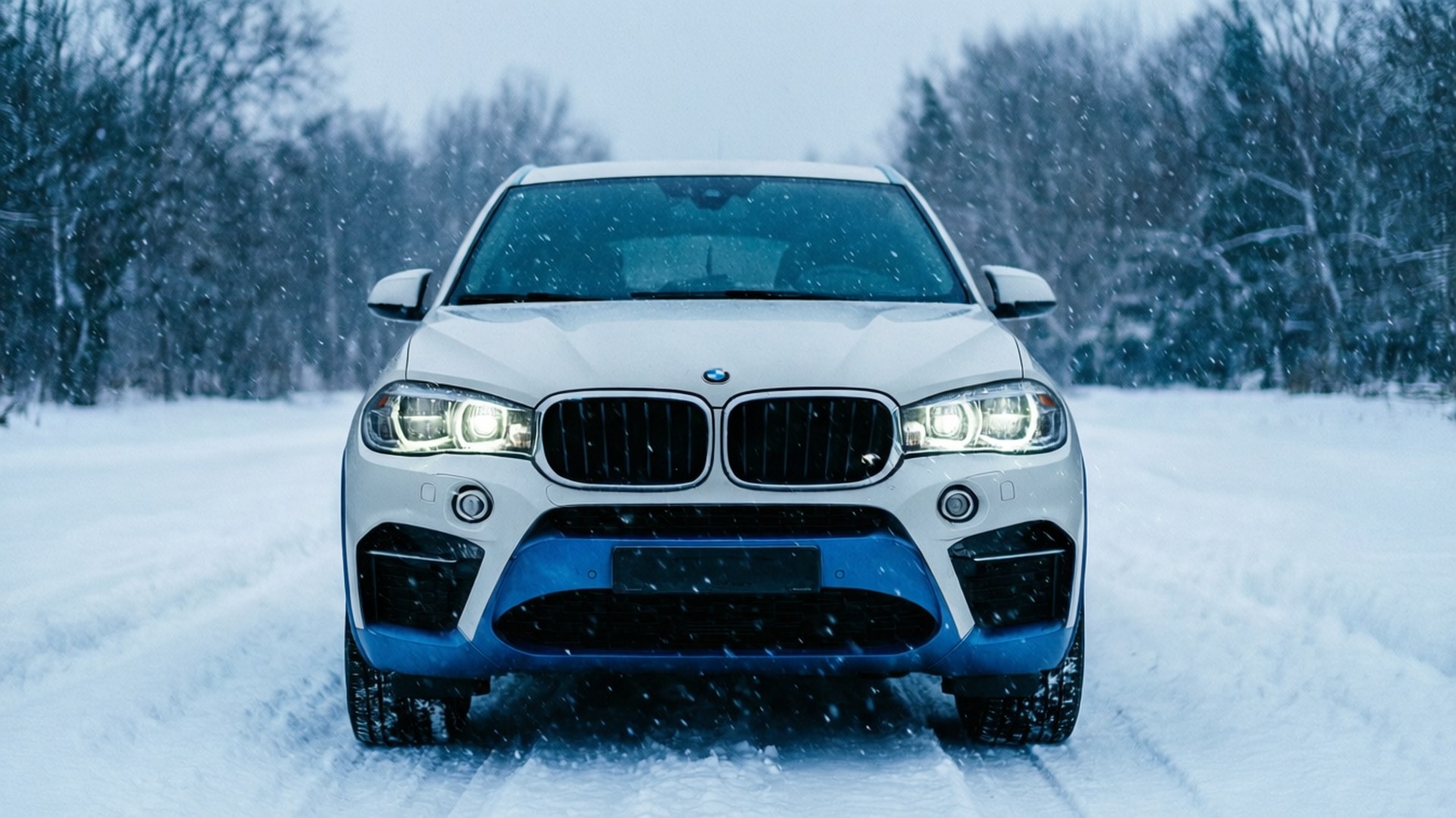BMW X6, snow, white, Full HD Desktop Wallpaper