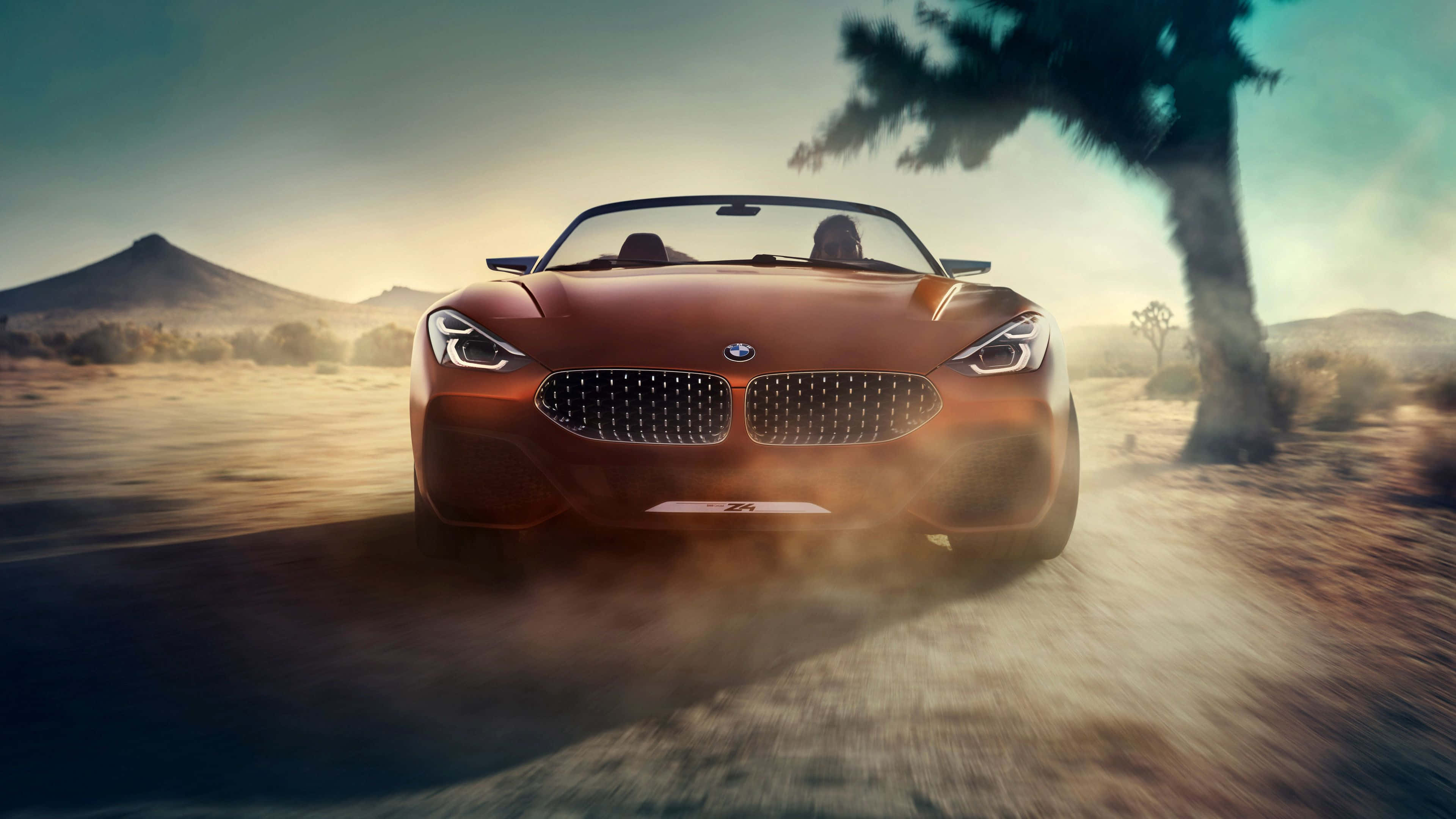 BMW Z4, bronze, convertible, 4K Desktop Wallpaper