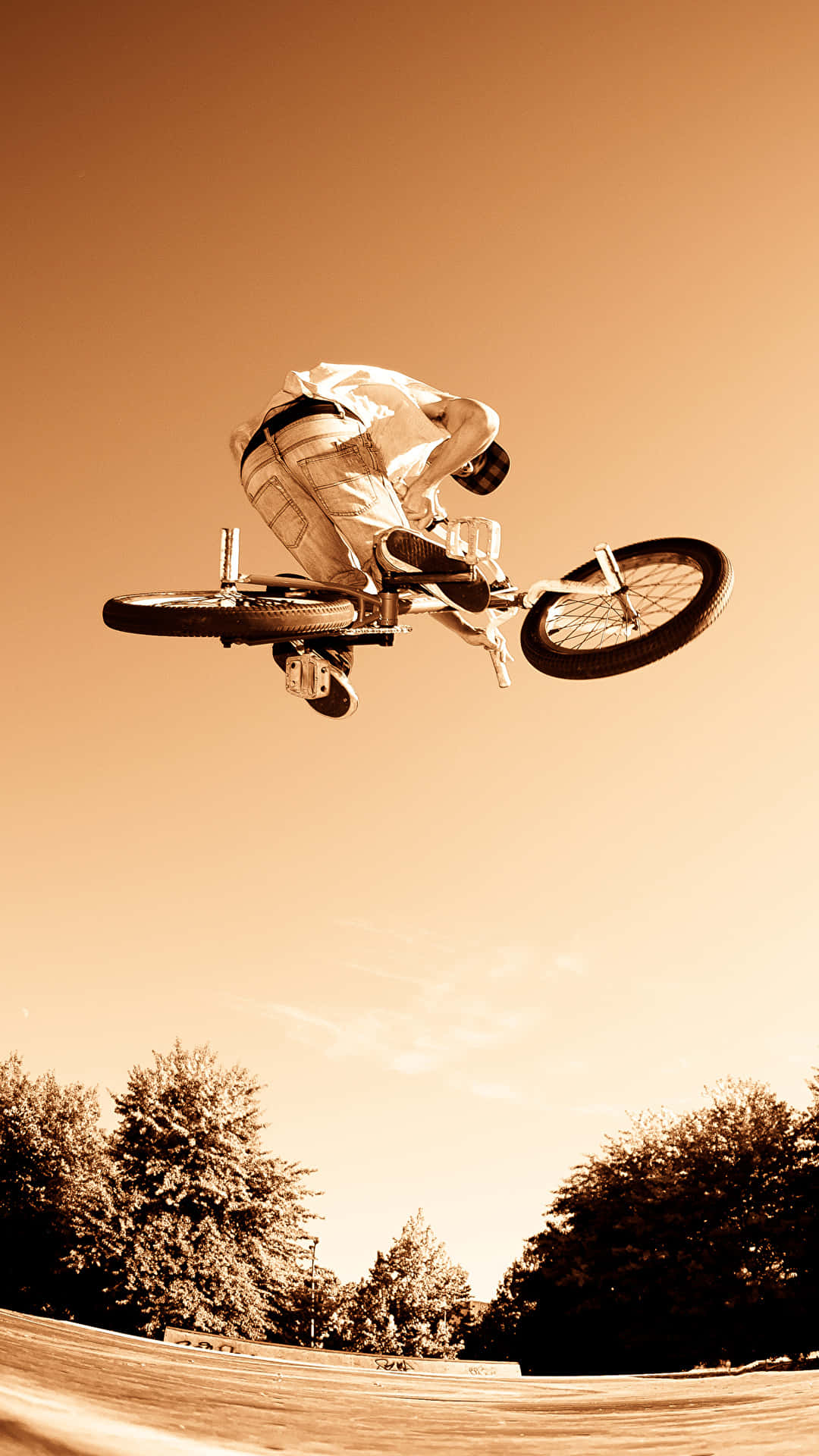 bmx, sepia sky, trees, Full HD Phone Wallpaper