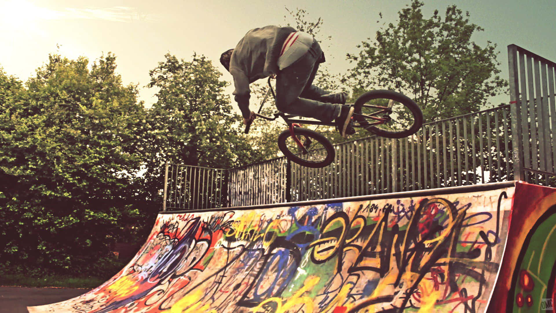 bmx, graffiti-covered ramp, sunlit urban skatepark, Full HD Desktop Wallpaper