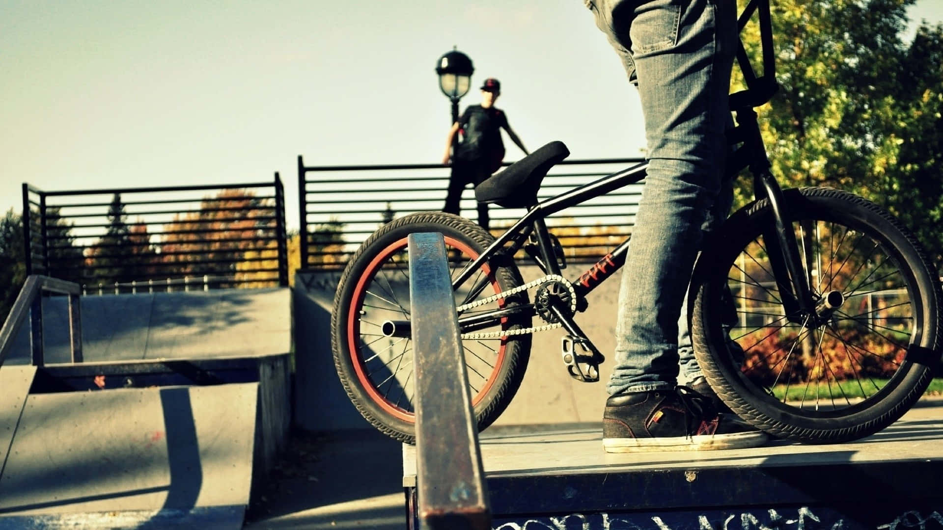 bmx rider, rail, skatepark, Full HD Desktop Wallpaper