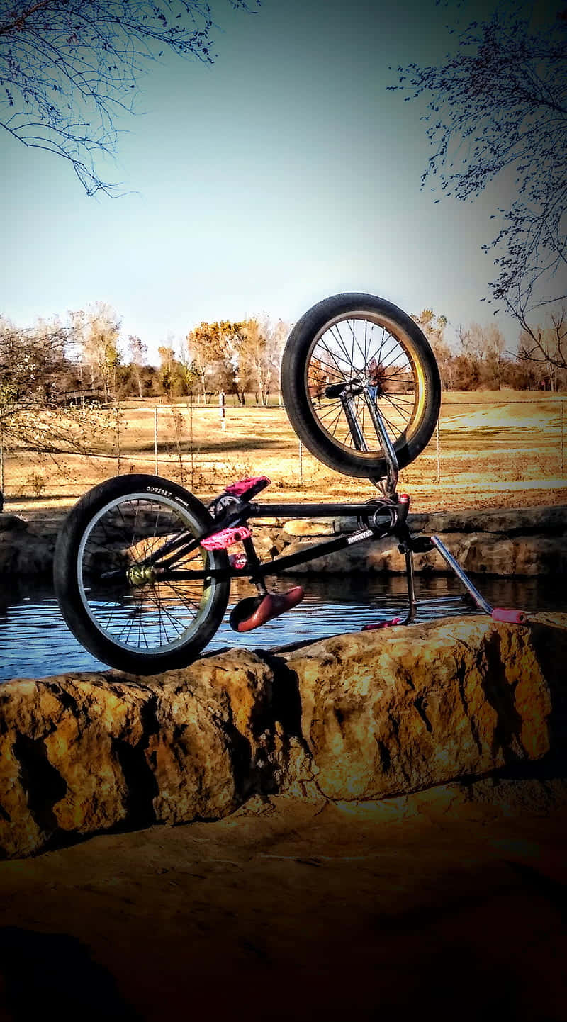 BMX, black BMX bike, pink accents, HD Phone Wallpaper