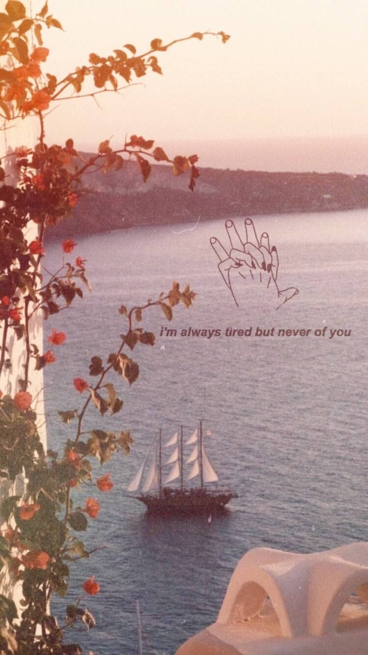 sailboat, calm waters, flowering vines, HD Phone Wallpaper