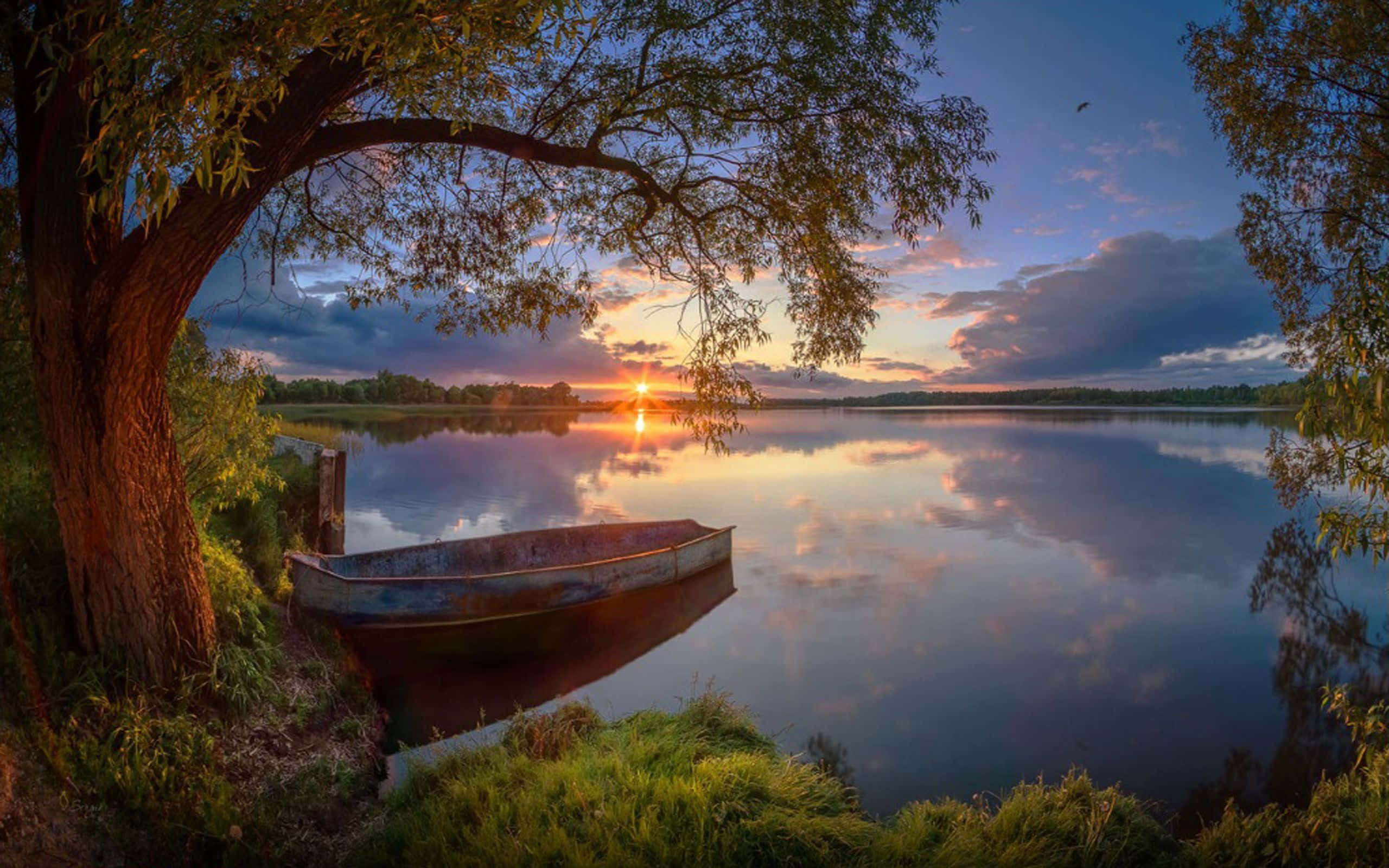 rowboat, water's edge, sprawling tree, 2K Desktop Wallpaper