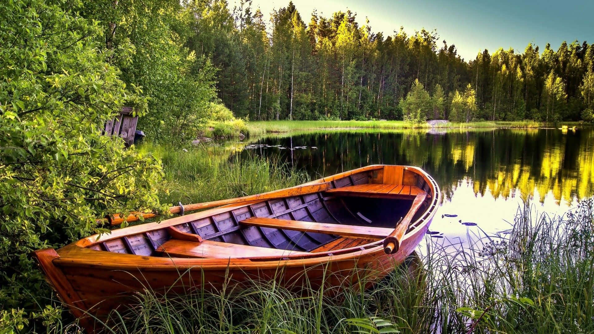 wooden rowboat, calm lake, dense green forest, Full HD Desktop Wallpaper