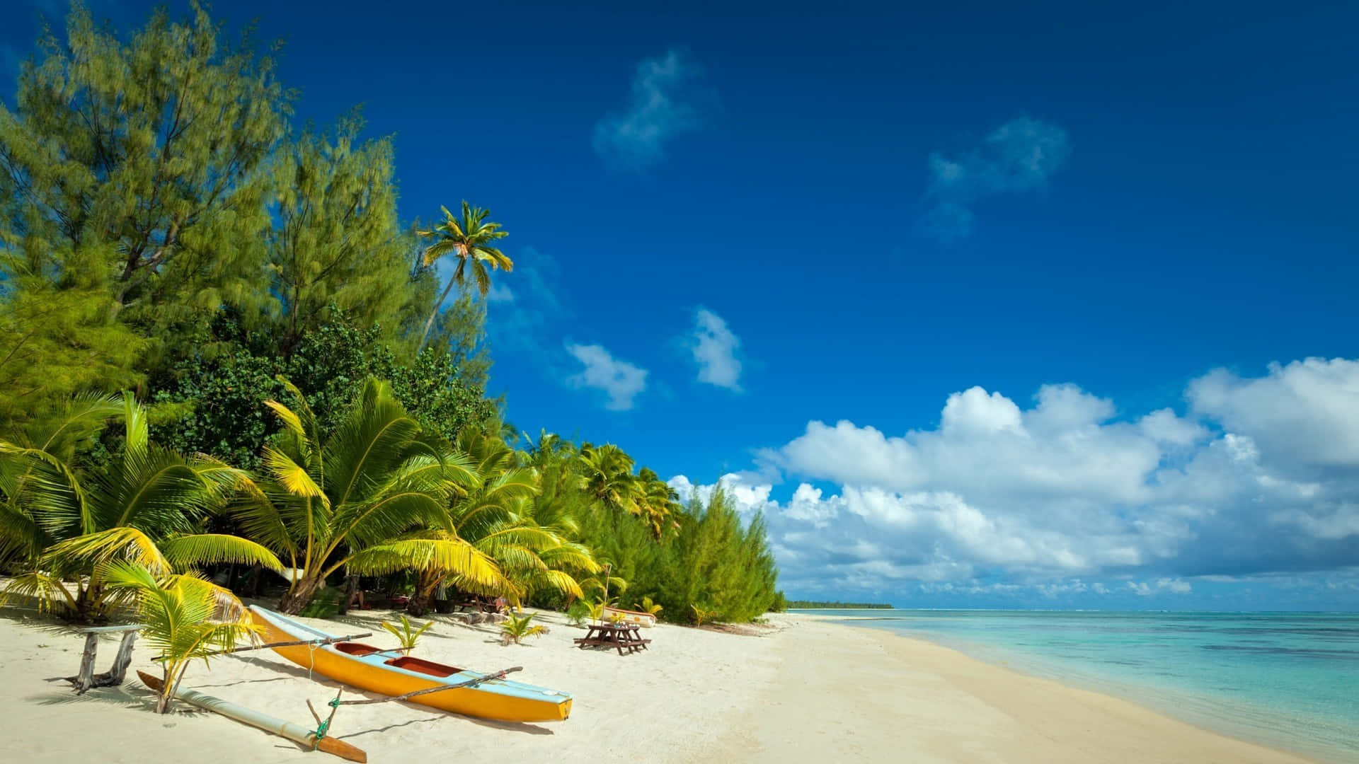 tropical beach, white sand, palm trees, Full HD Desktop Wallpaper