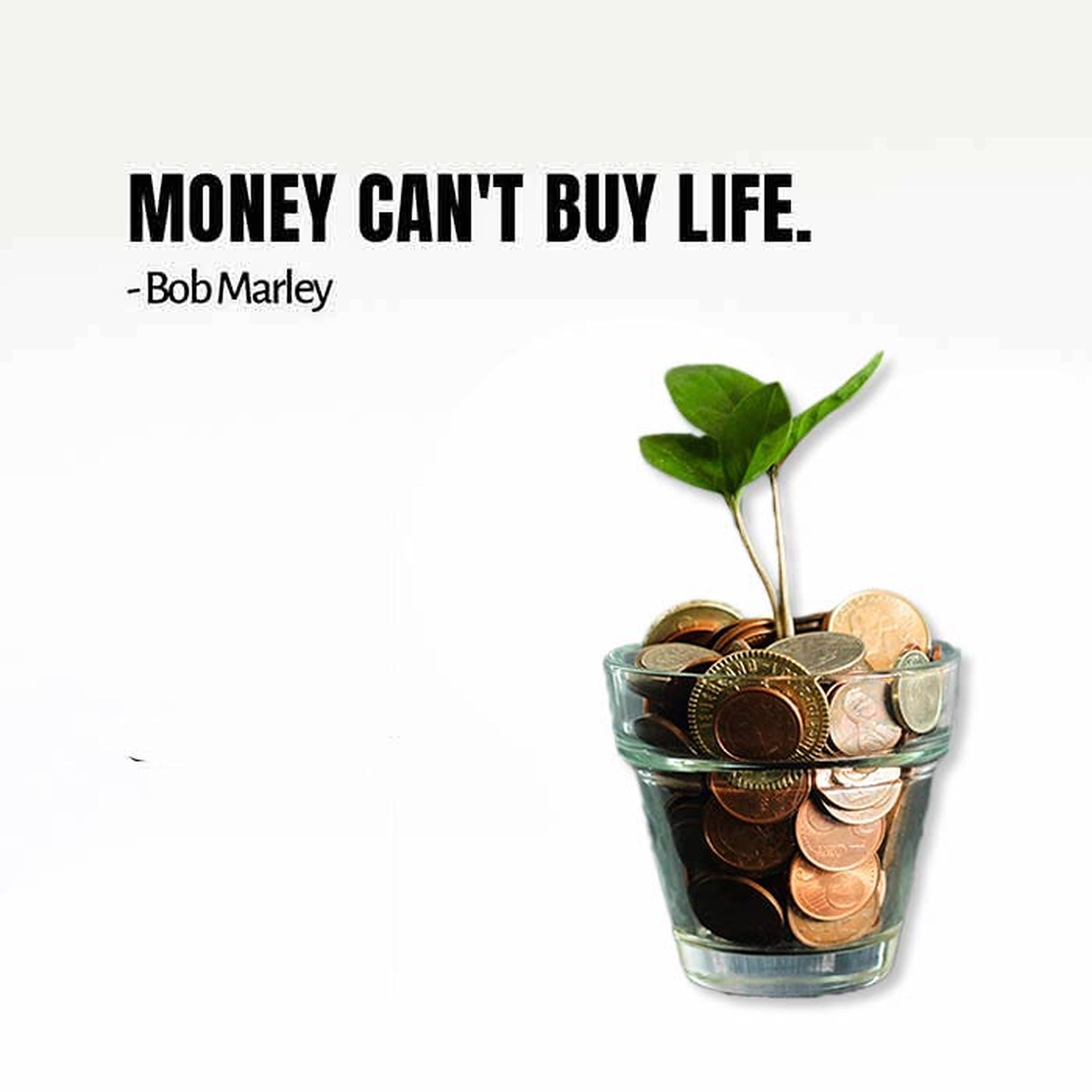 Bob Marley quote, green sprout, glass jar, Full HD Desktop Wallpaper