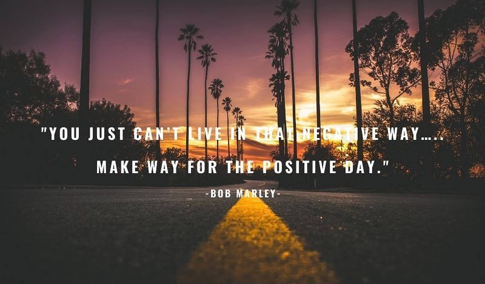 Bob Marley, sunset, palm trees, Full HD Desktop Wallpaper