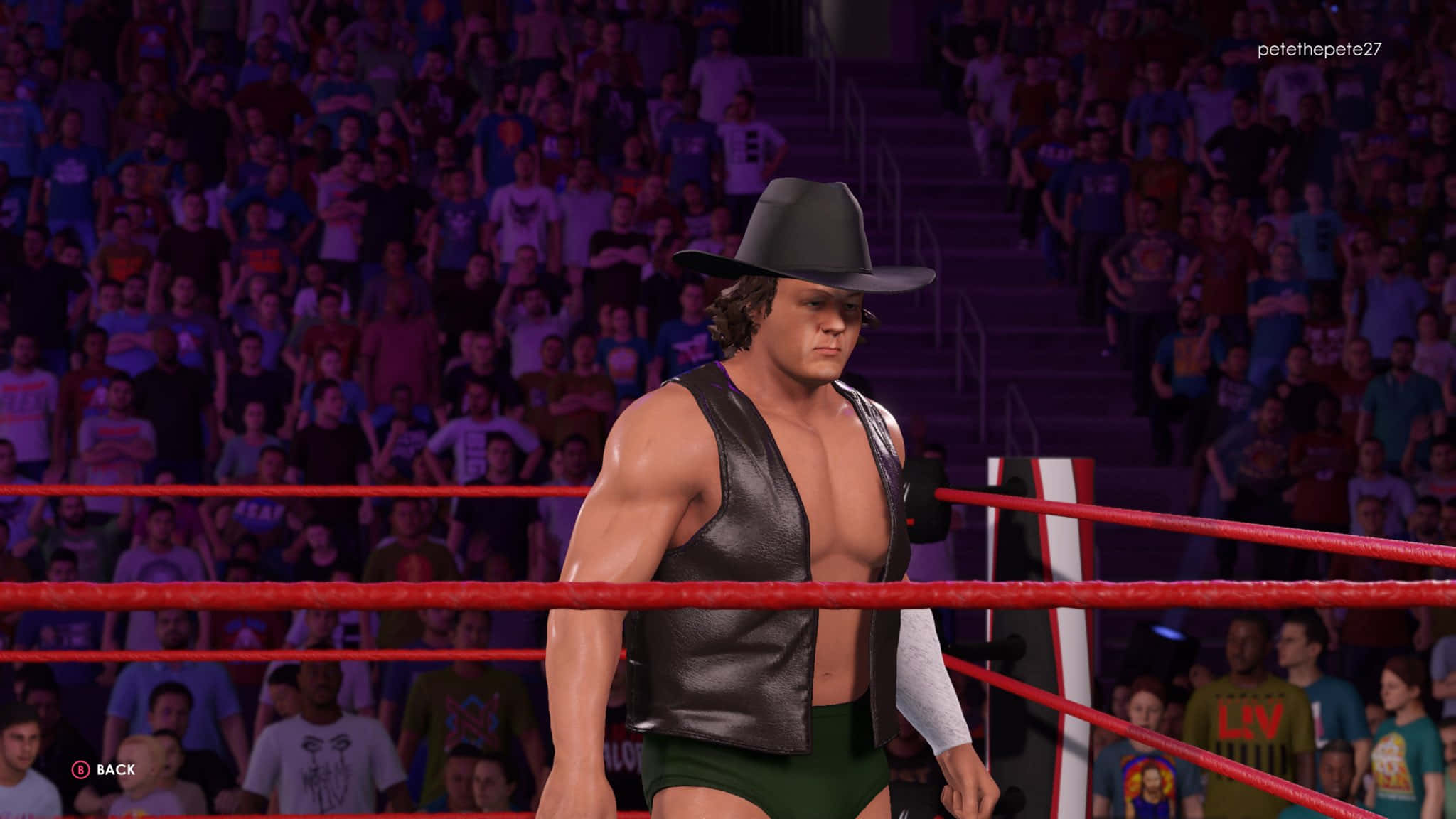 Bob Orton Jr, red ring, black cowboy hat, Full HD Desktop Wallpaper
