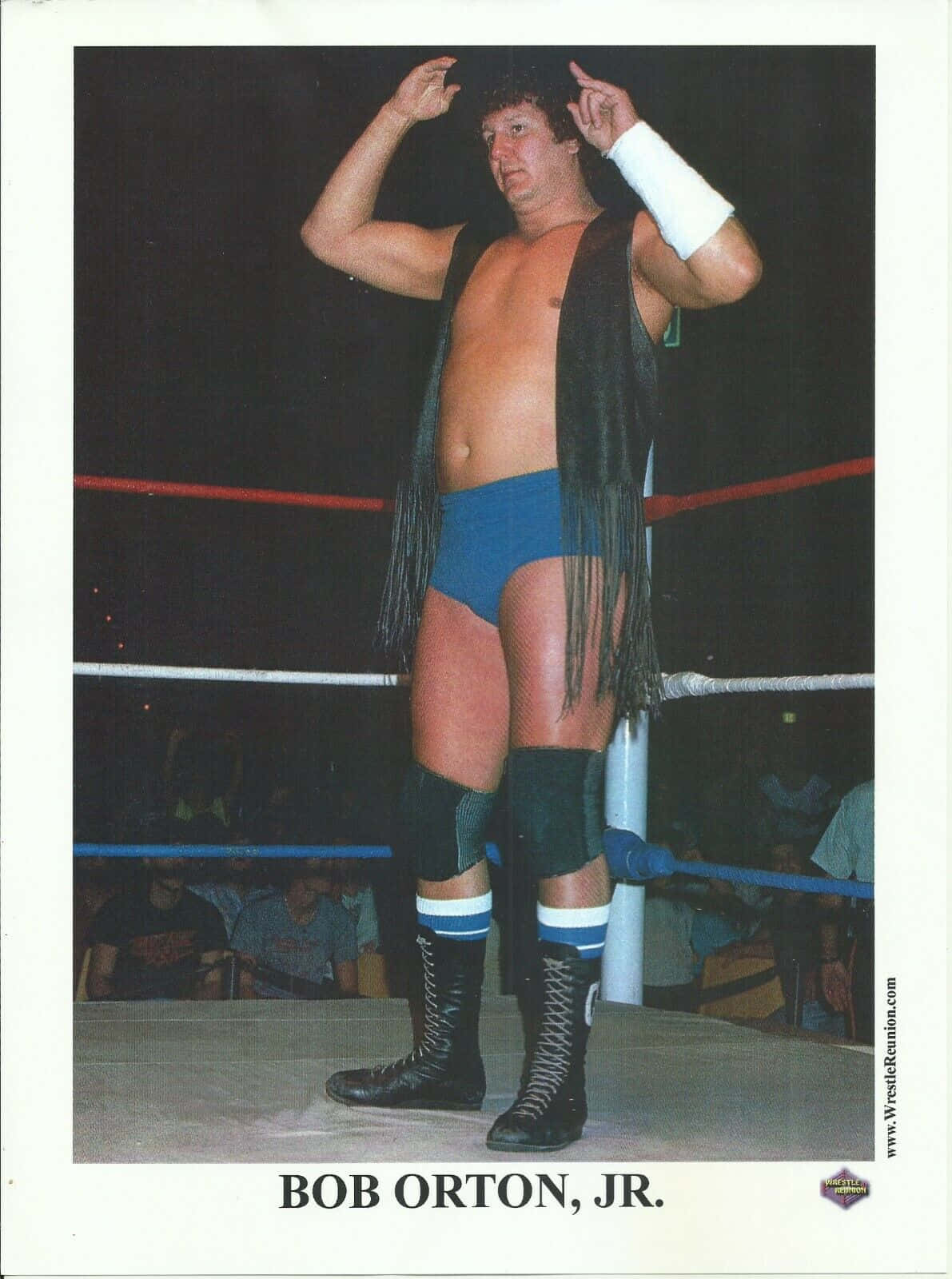 Bob Orton Jr, blue trunks, black fringe vest, HD Phone Wallpaper