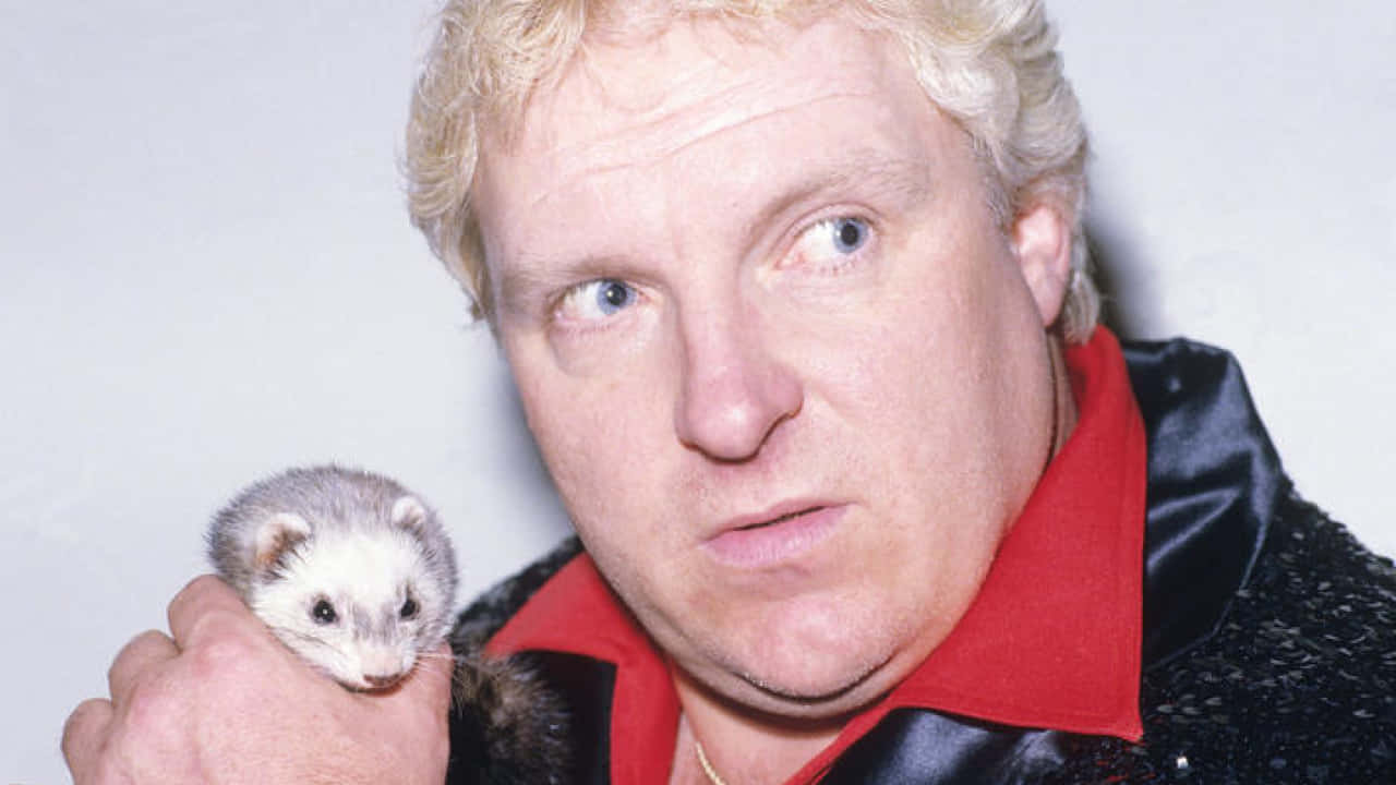 Bobby Heenan, ferret, blonde hair, HD Desktop Wallpaper