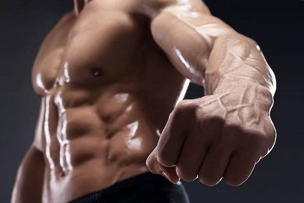 bodybuilders fist hd, muscular man, torso, SD Desktop Wallpaper