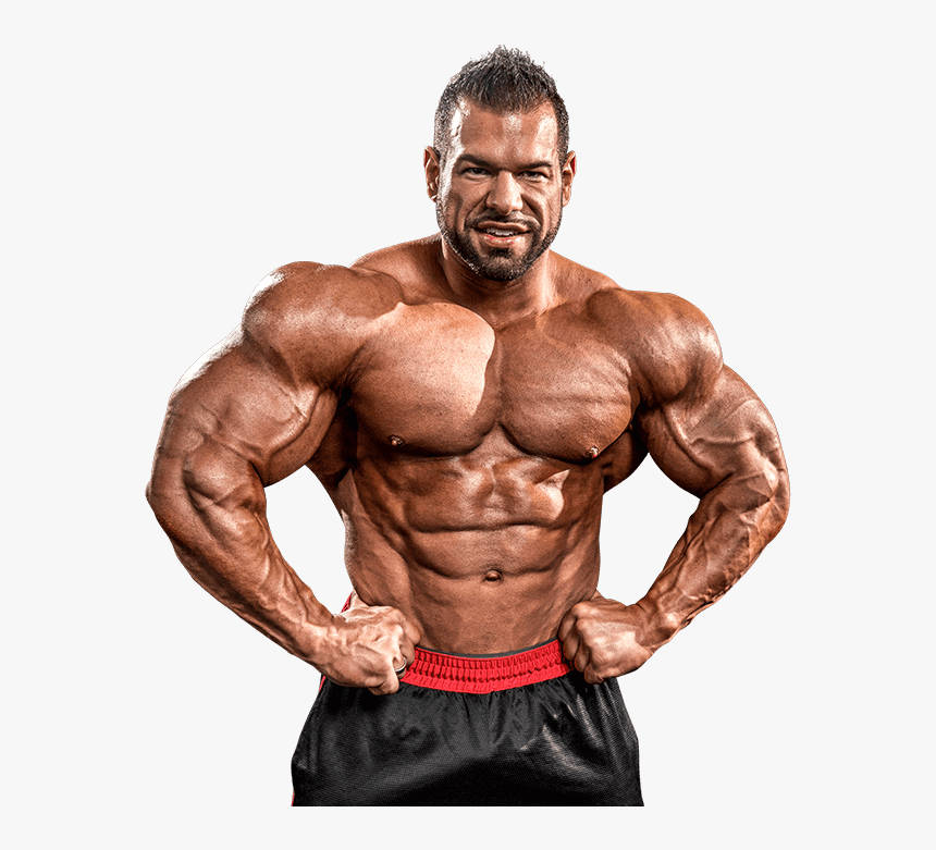 bodybuilder, biceps, HD resolution, SD Desktop Wallpaper