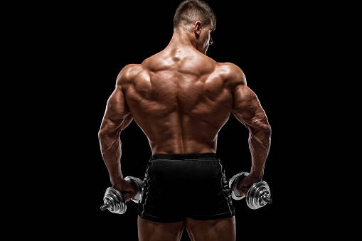 bodybuilder, dumbbells, defined back muscles, SD Desktop Wallpaper